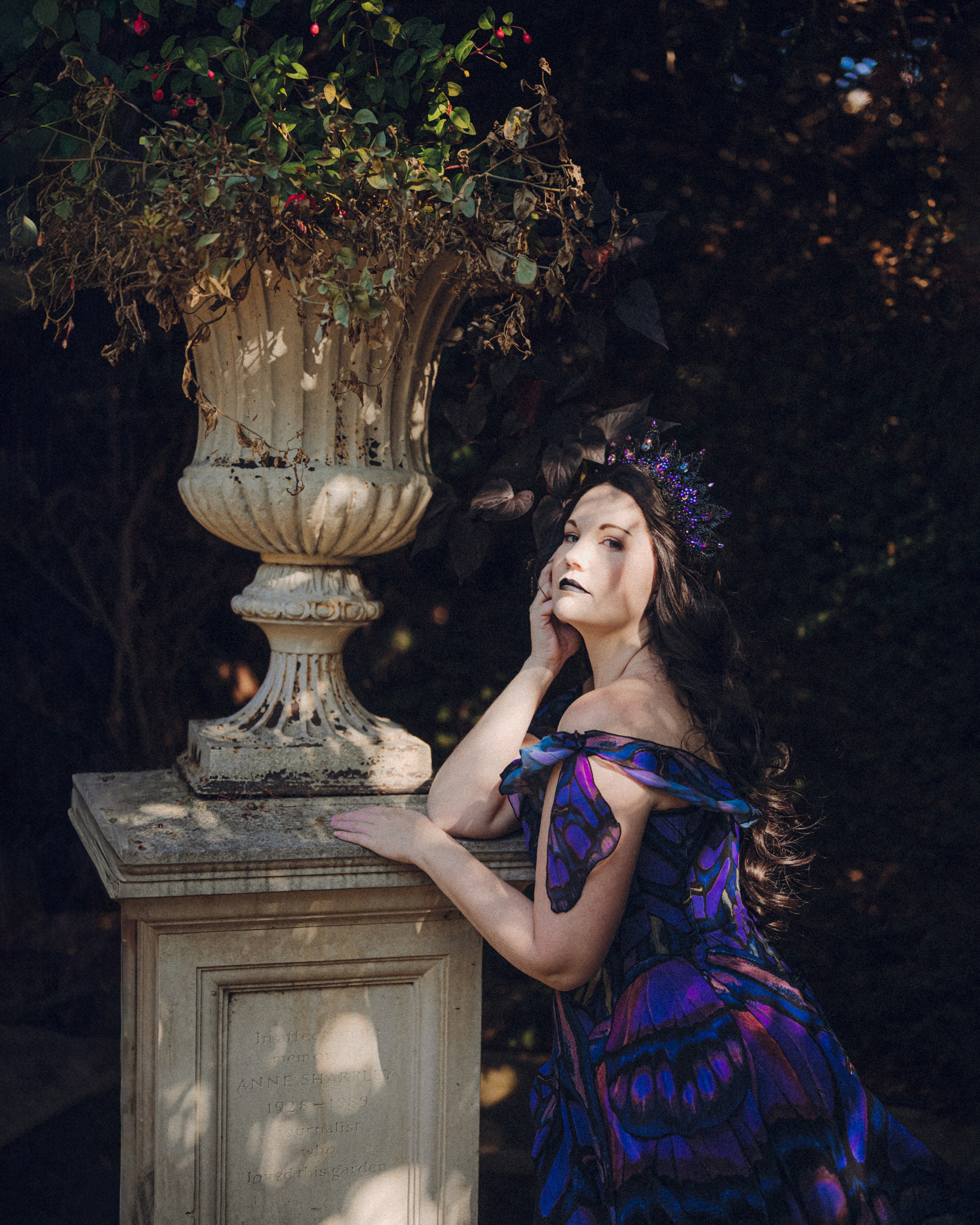 Butterfly purple fairy in a blooming garden. Moth & Moss Photography