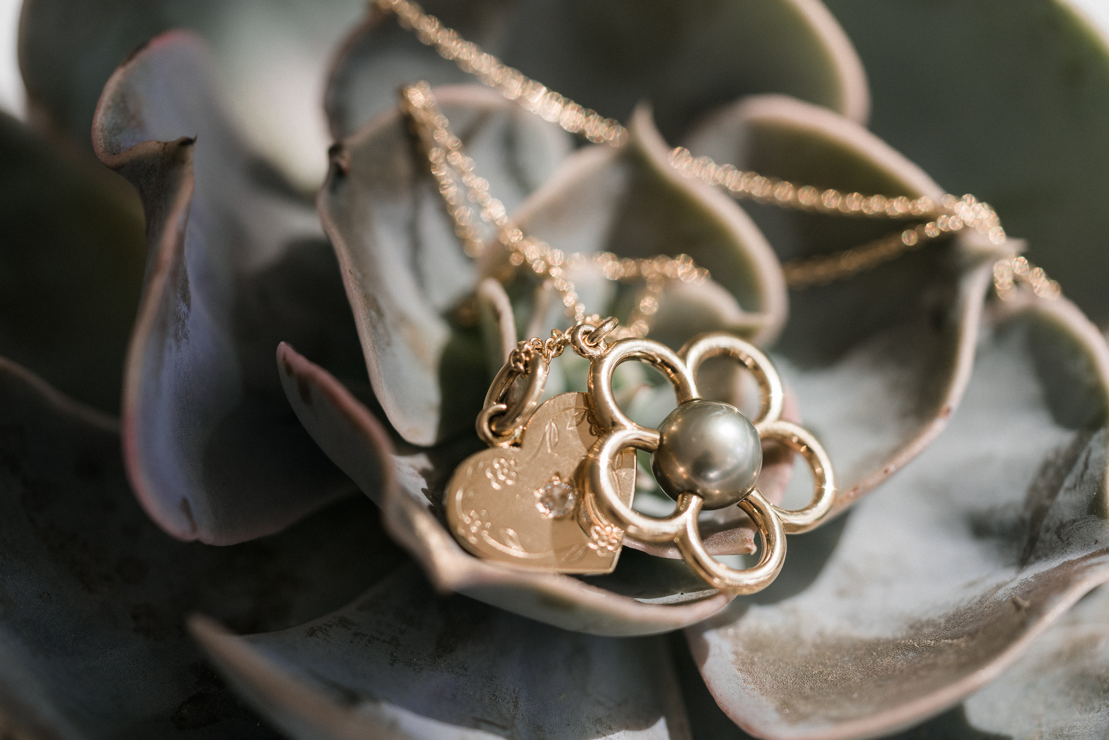 Tuotekuvaus Floramore Oy, Crocus Paperi, Hää- ja Juhlasuunnittelu Orch