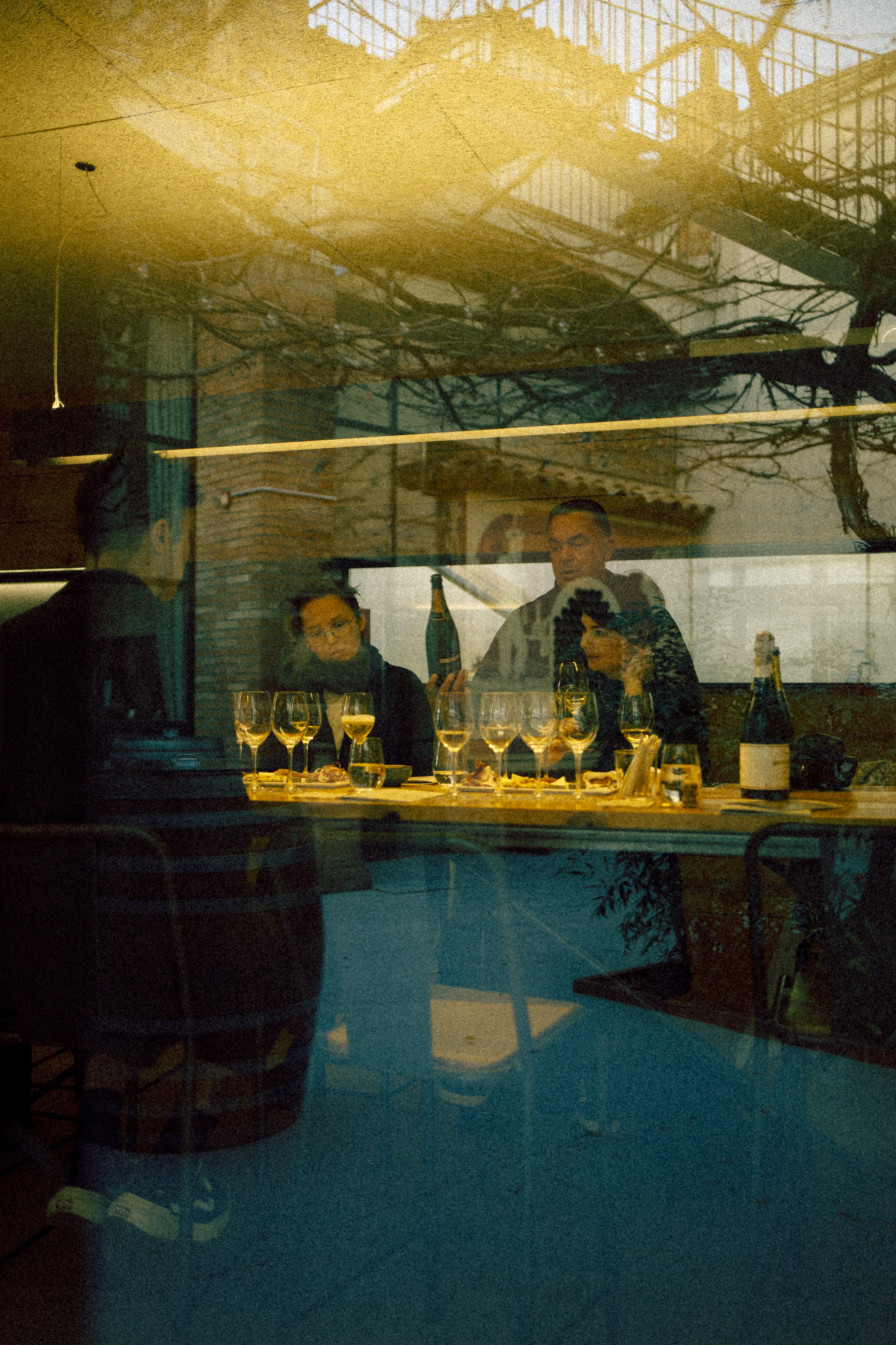 Mi cumpleaños y la bodega. Marina Kálcheva – Photographer, Videographer & Visual Artist in Barcelona