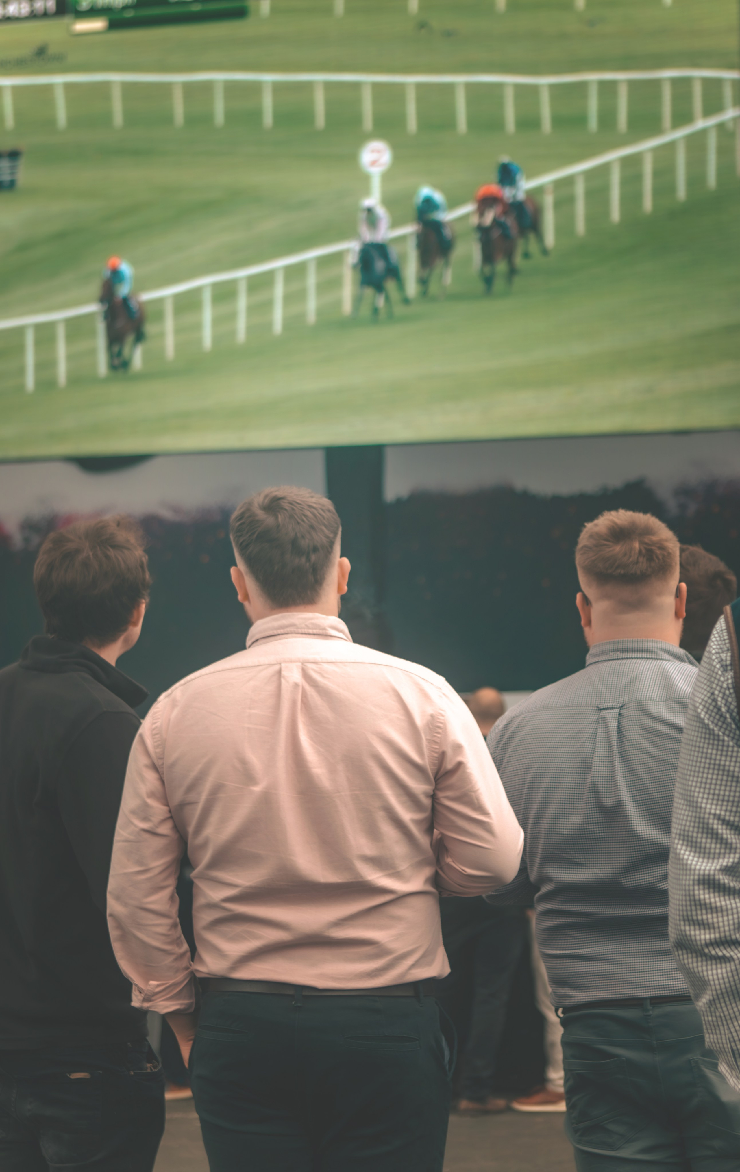 Punchestown. Photographer Co Dublin, Balbriggan — Agata Maliseva