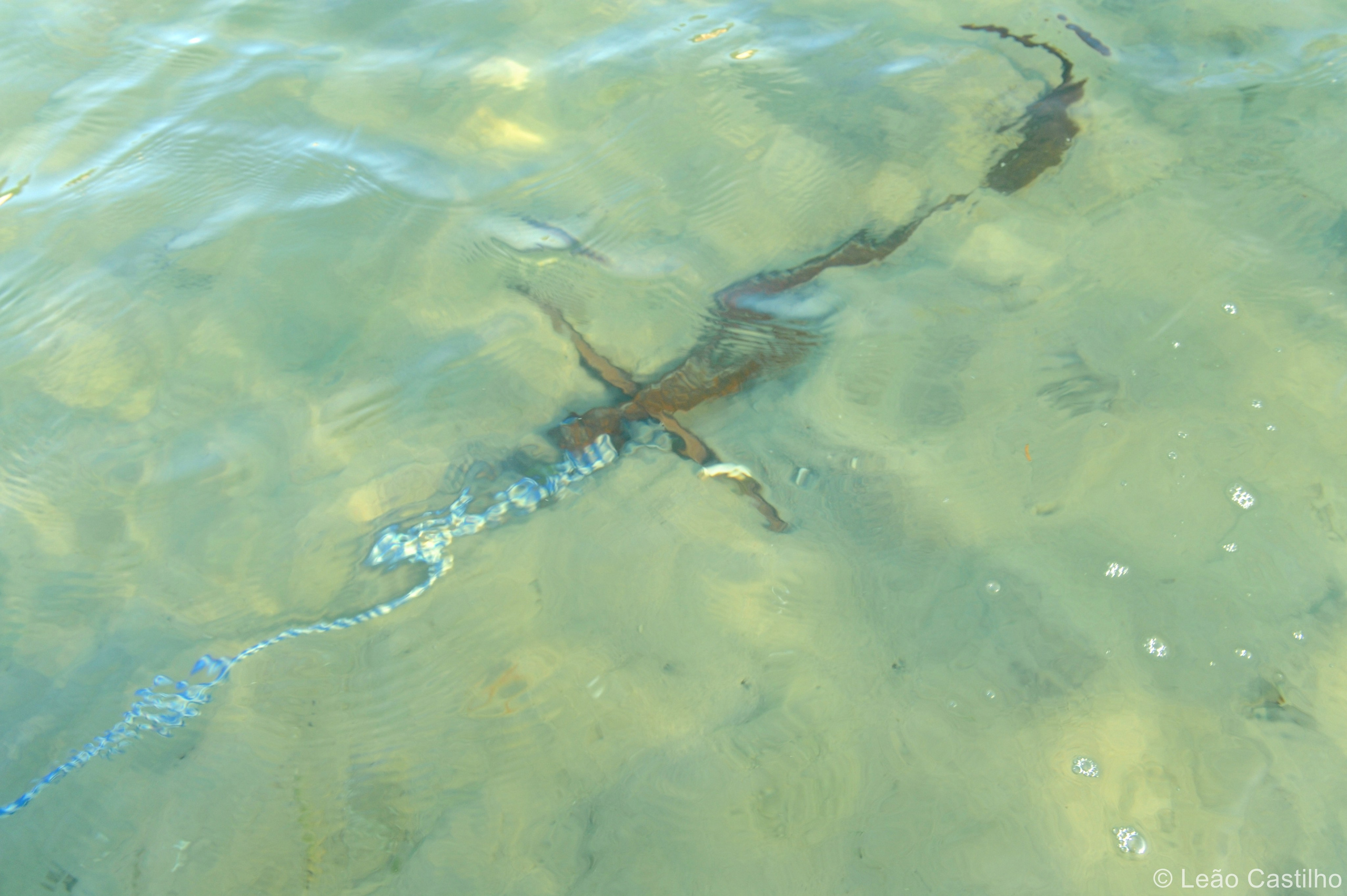 Photos from Mozambique. Simbahalu