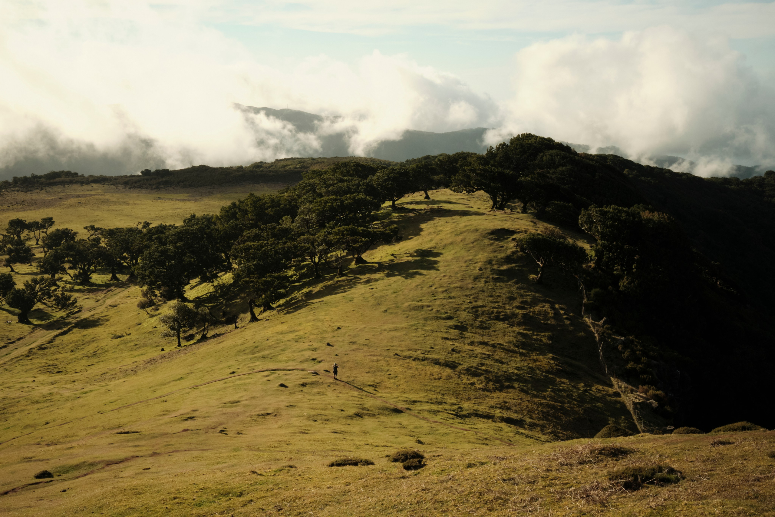 Wanderlust. Personal and fashion photography for brands and modeling agencies. Warsaw, Europe. Yaroslav Storchak
