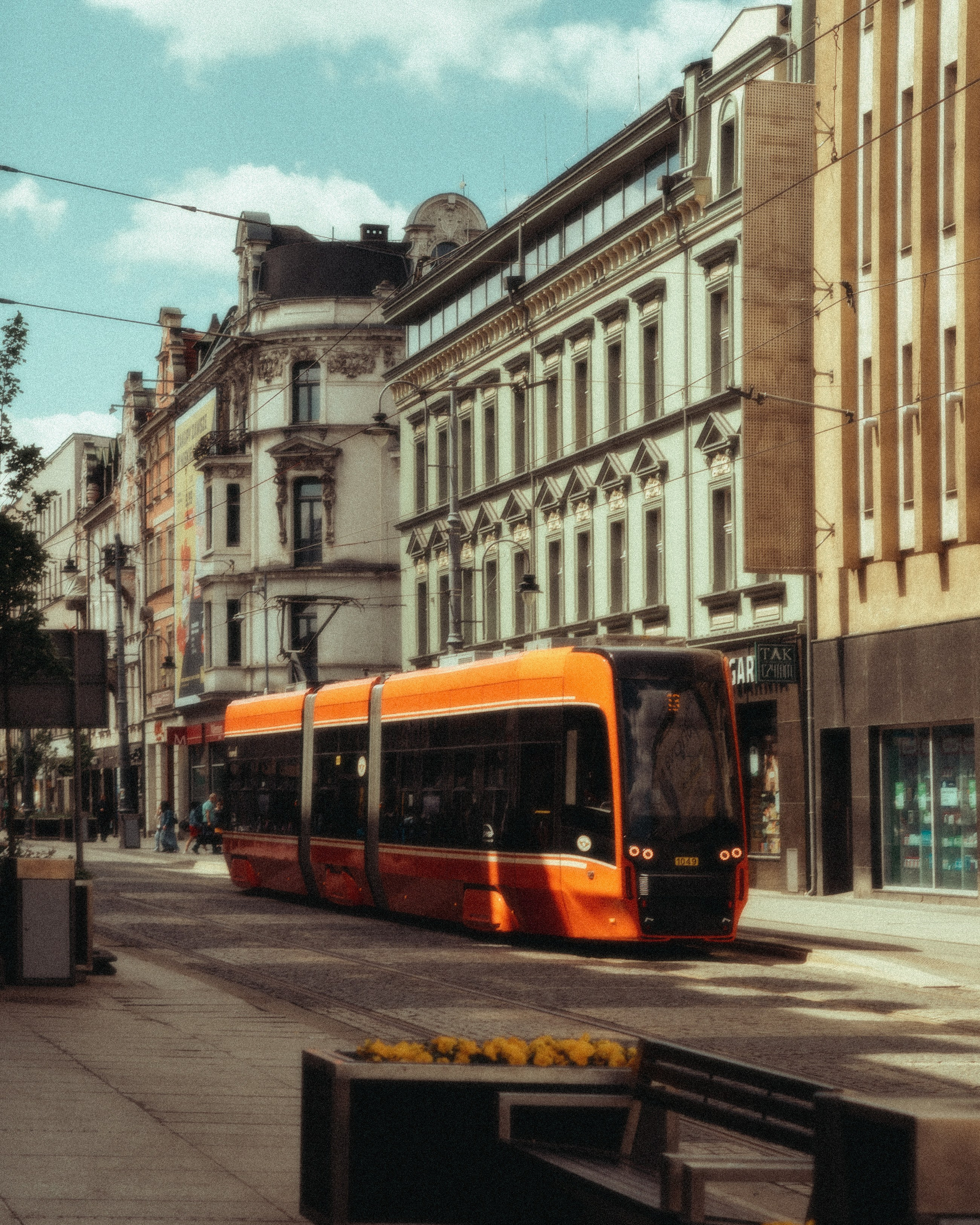 Roaming. Mike Avelli