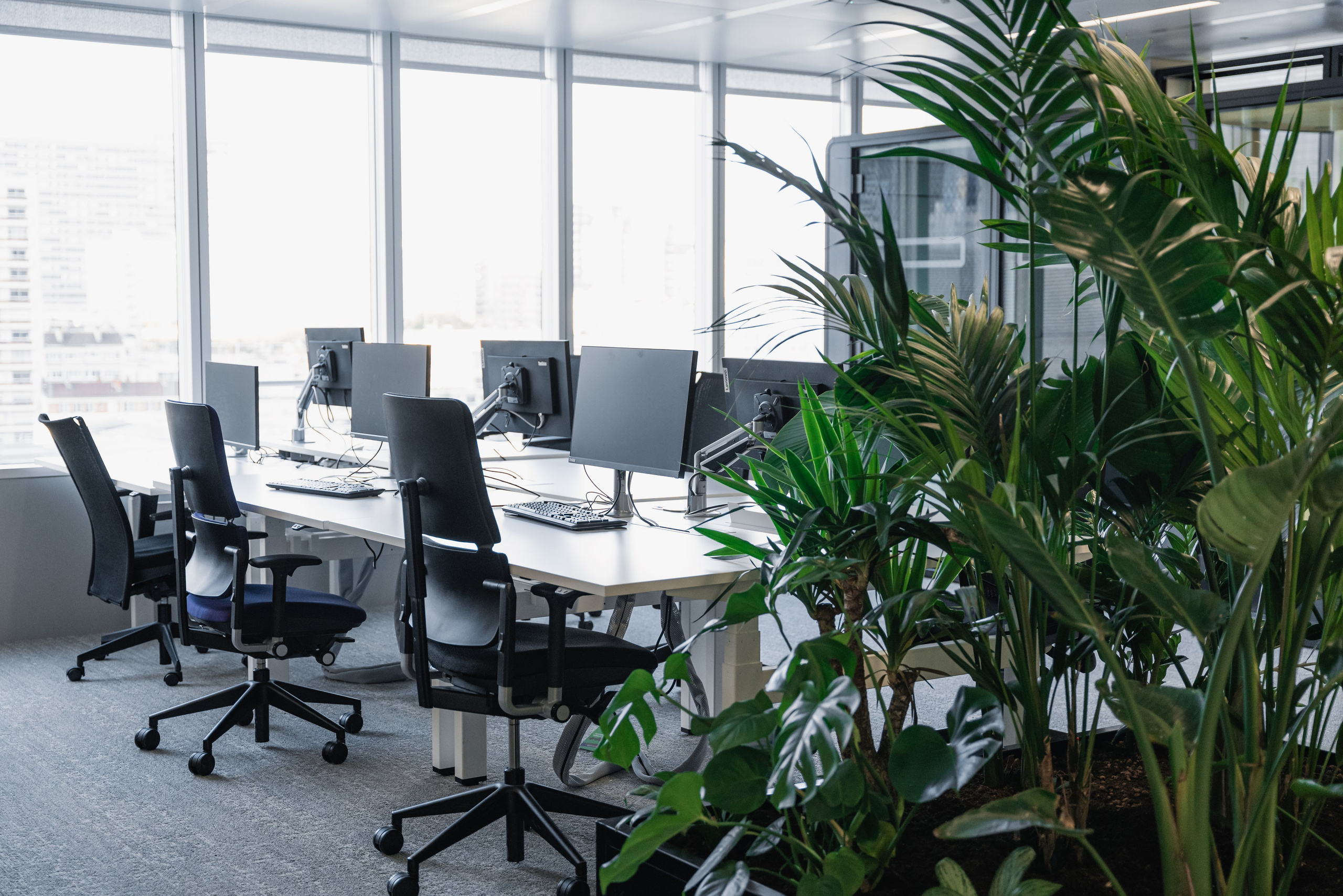 Office. Photographer in Paris — Vitalii Motruk