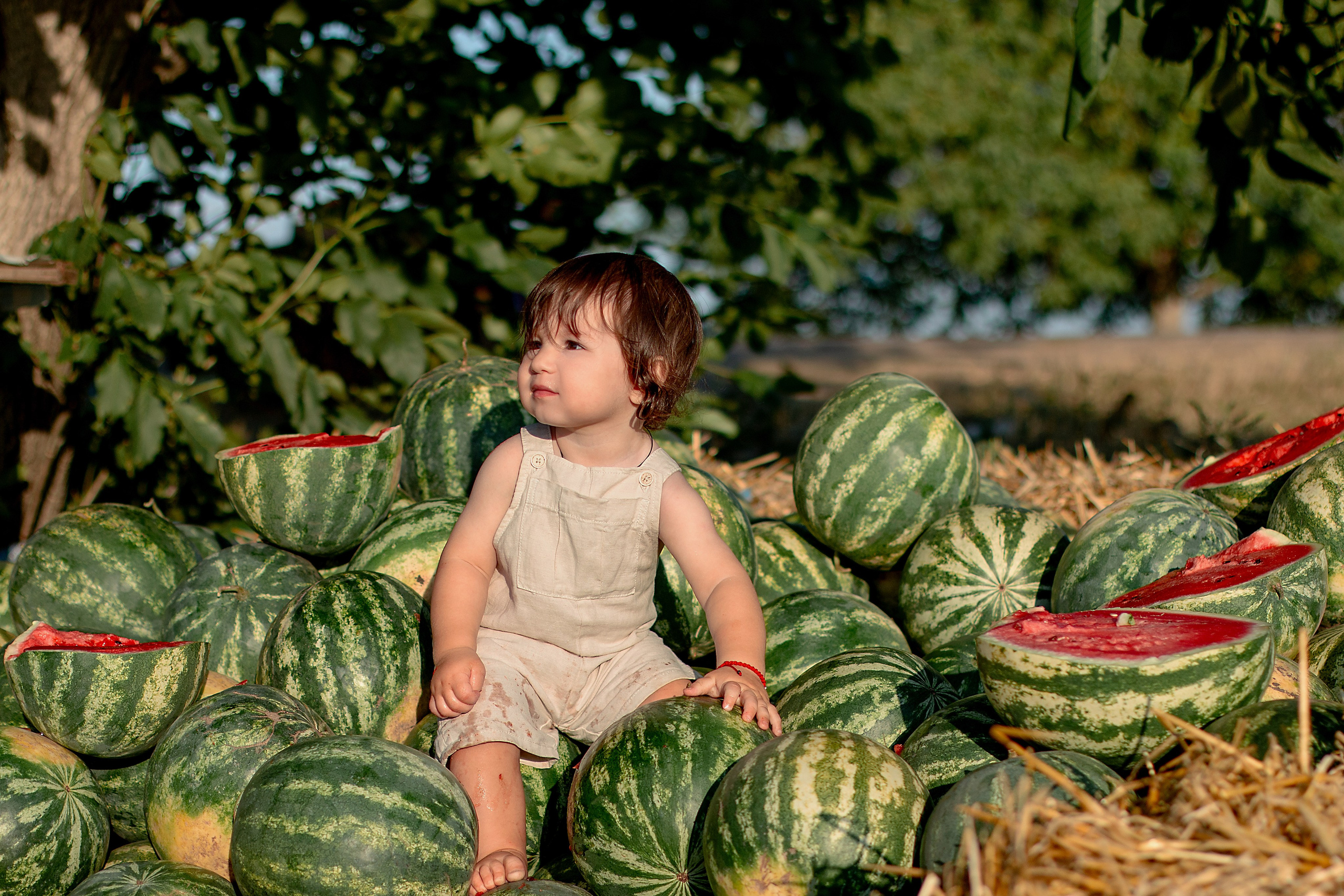 Арбузы. Детский и семейный фотограф в г. Бельцы