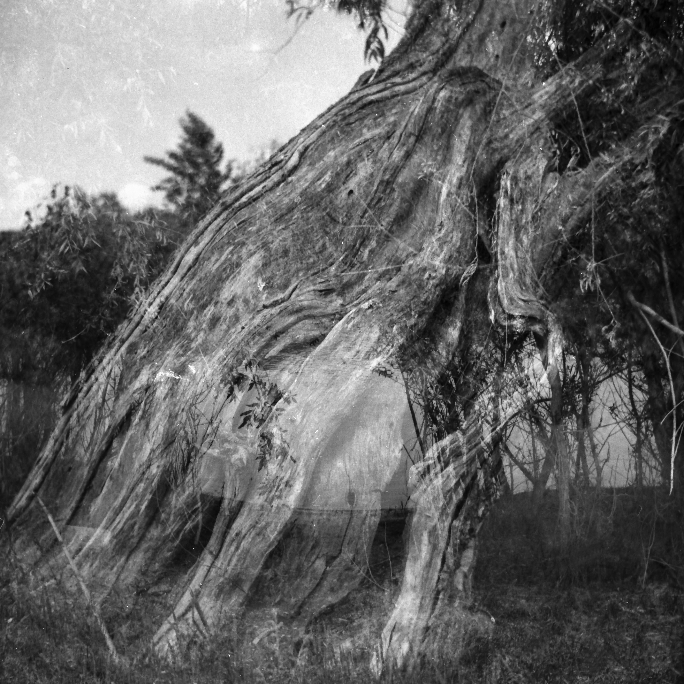 Tender Infinite Souls. Natalia Parfenova visual artist film photographer