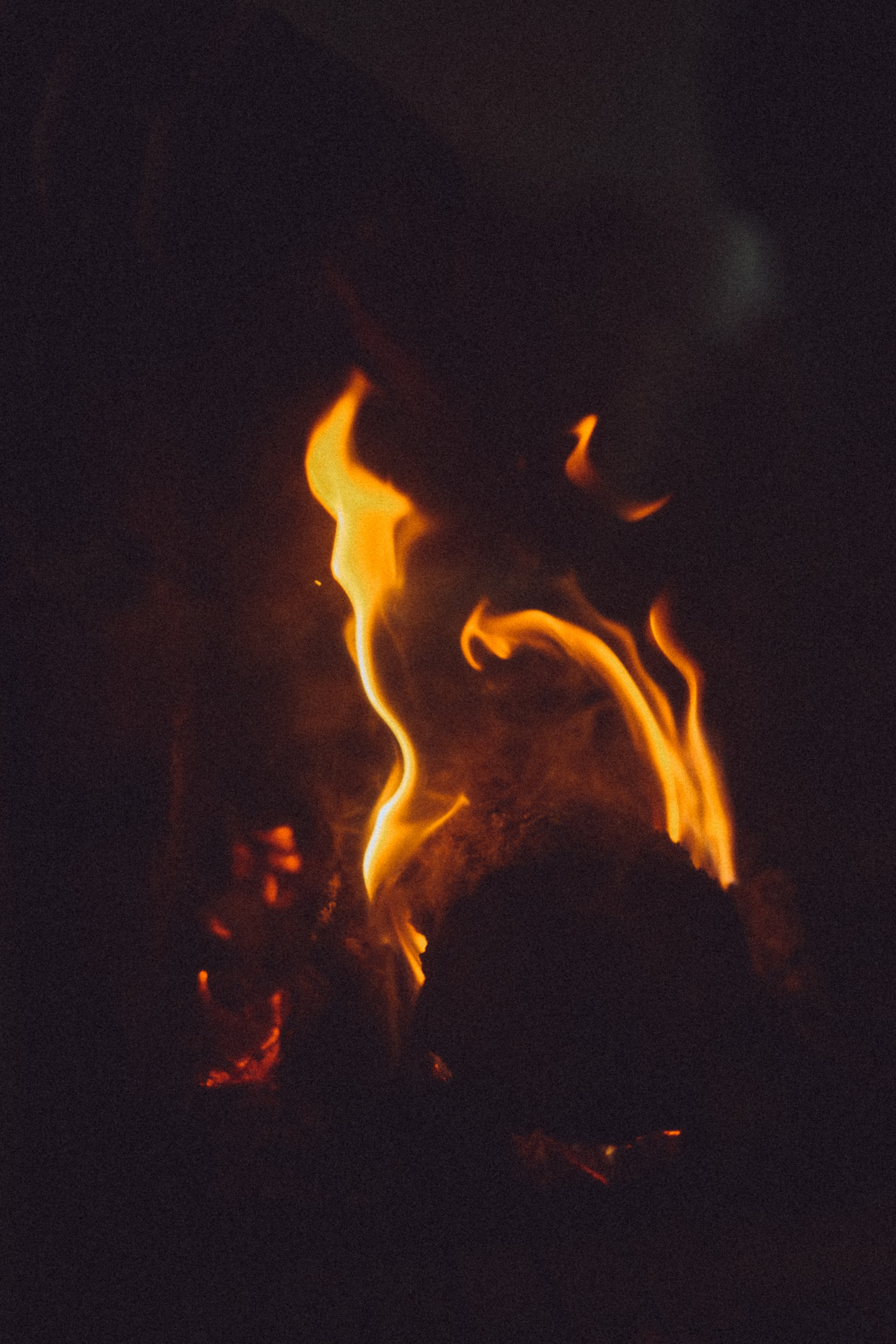 People. Photographe à la Seyne sur Mer, Var