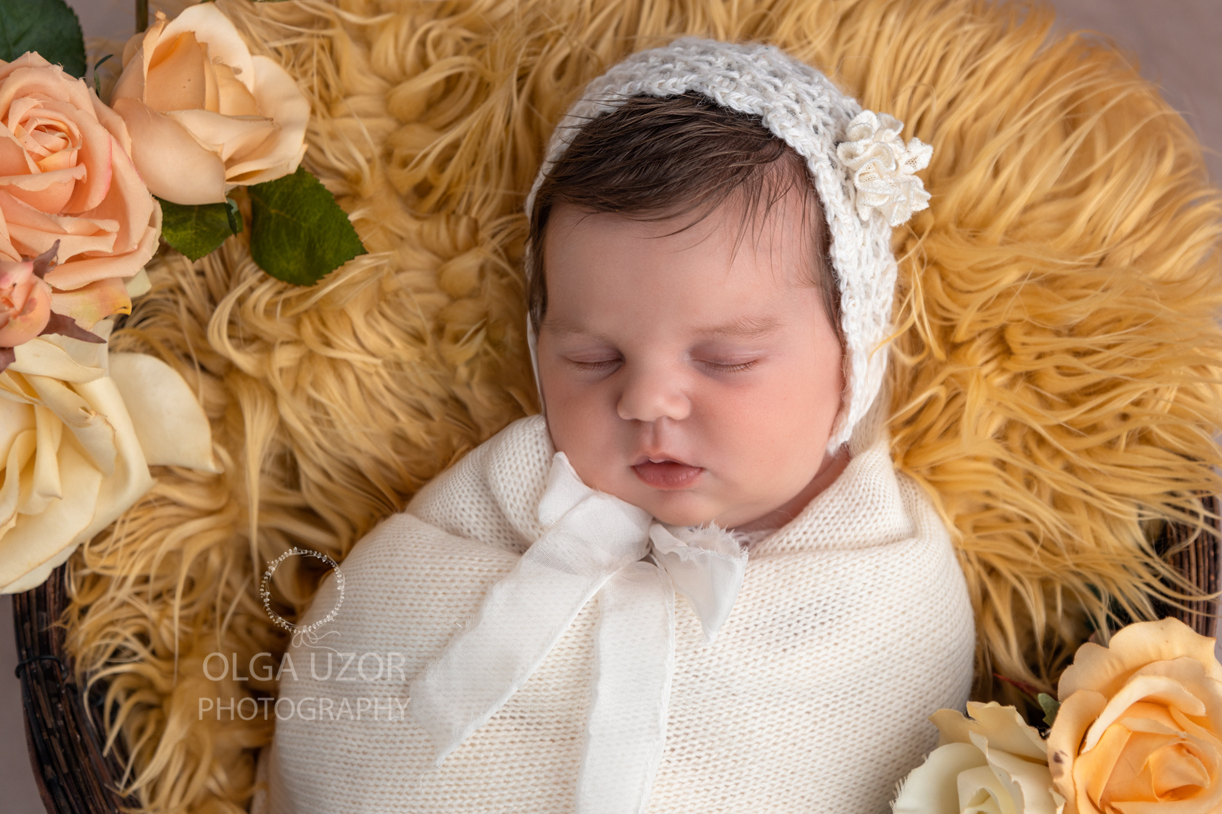 Newborn photo shoot