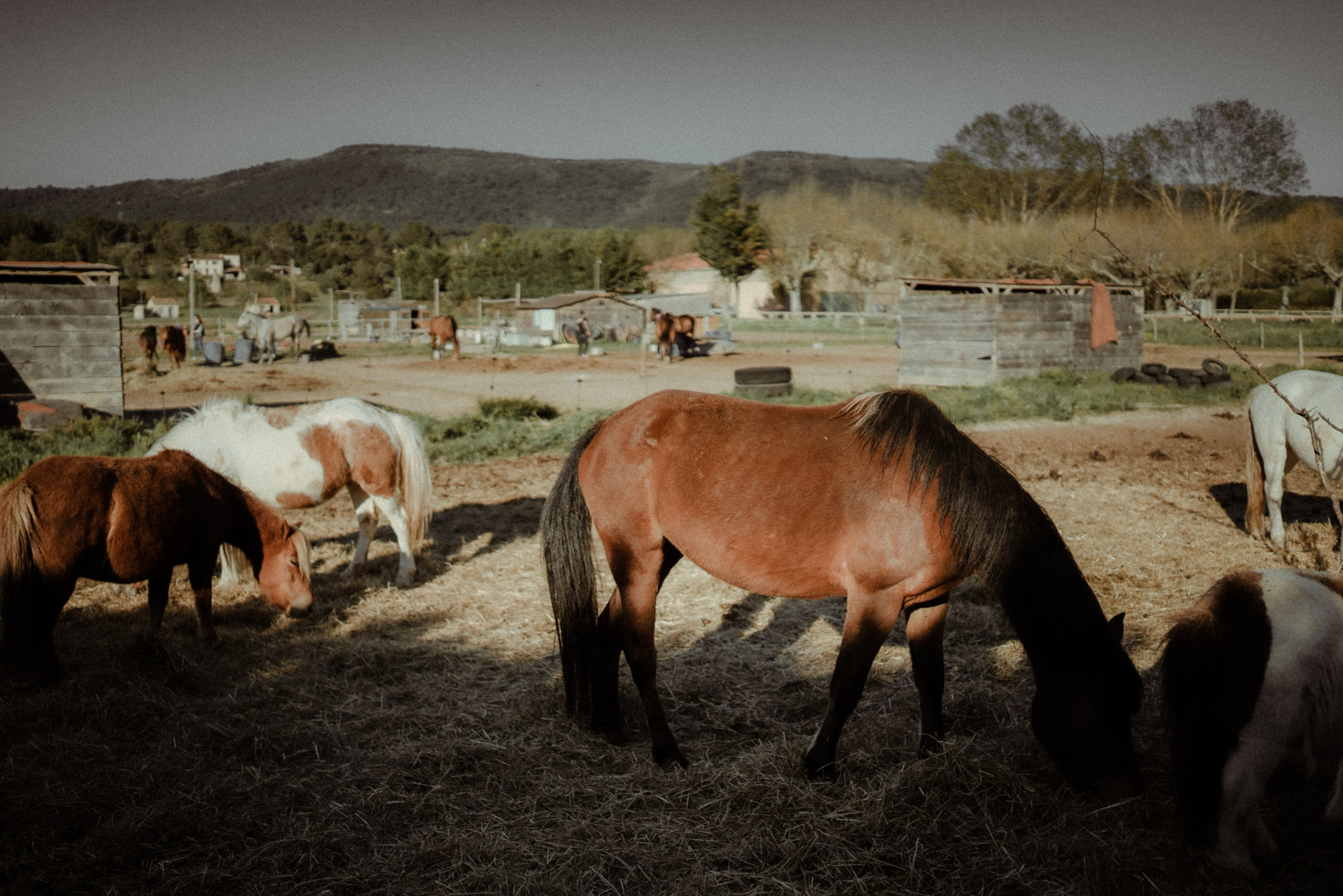 People. Photographe à la Seyne sur Mer, Var