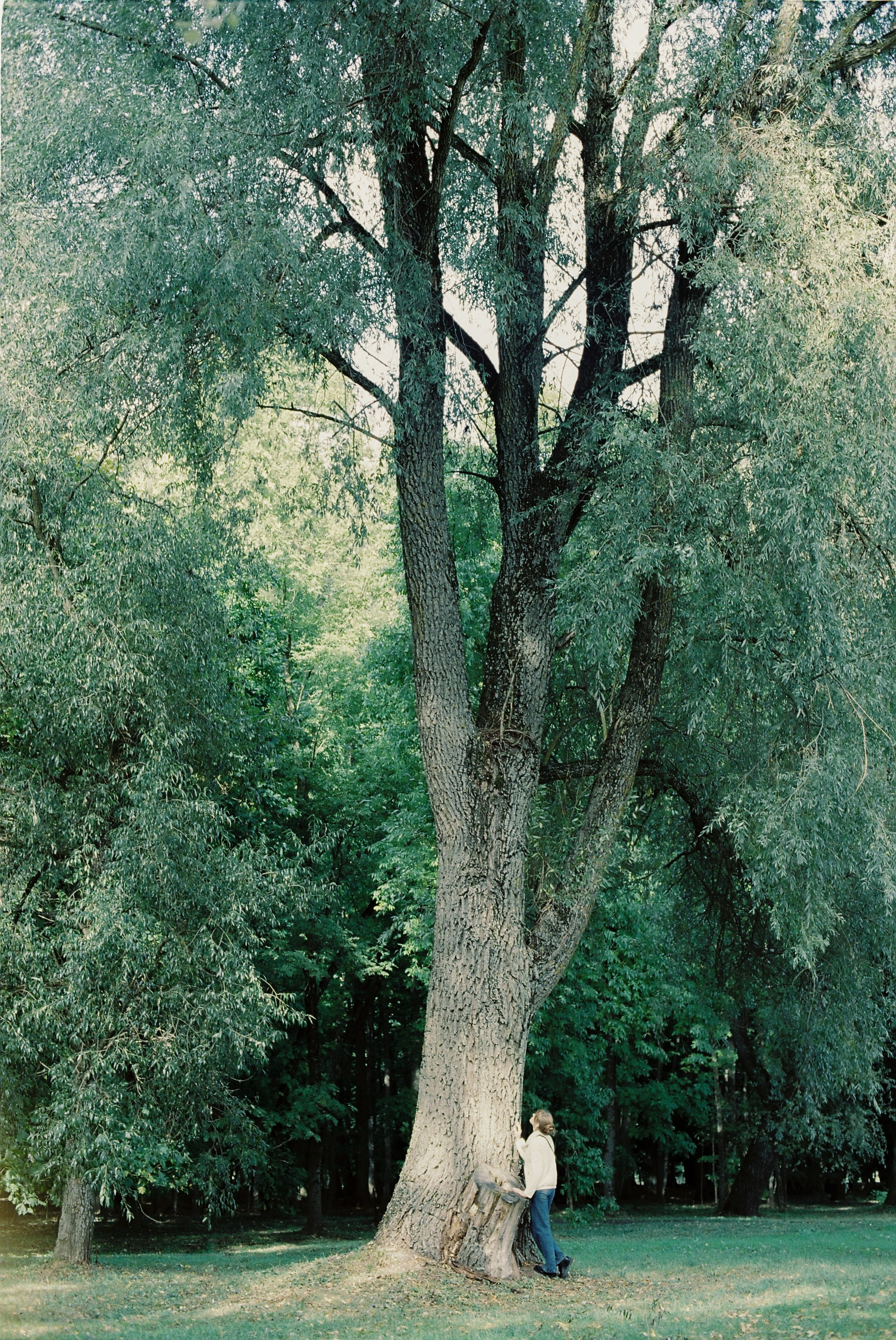 Прекрасные Вы. Фотограф из Минска