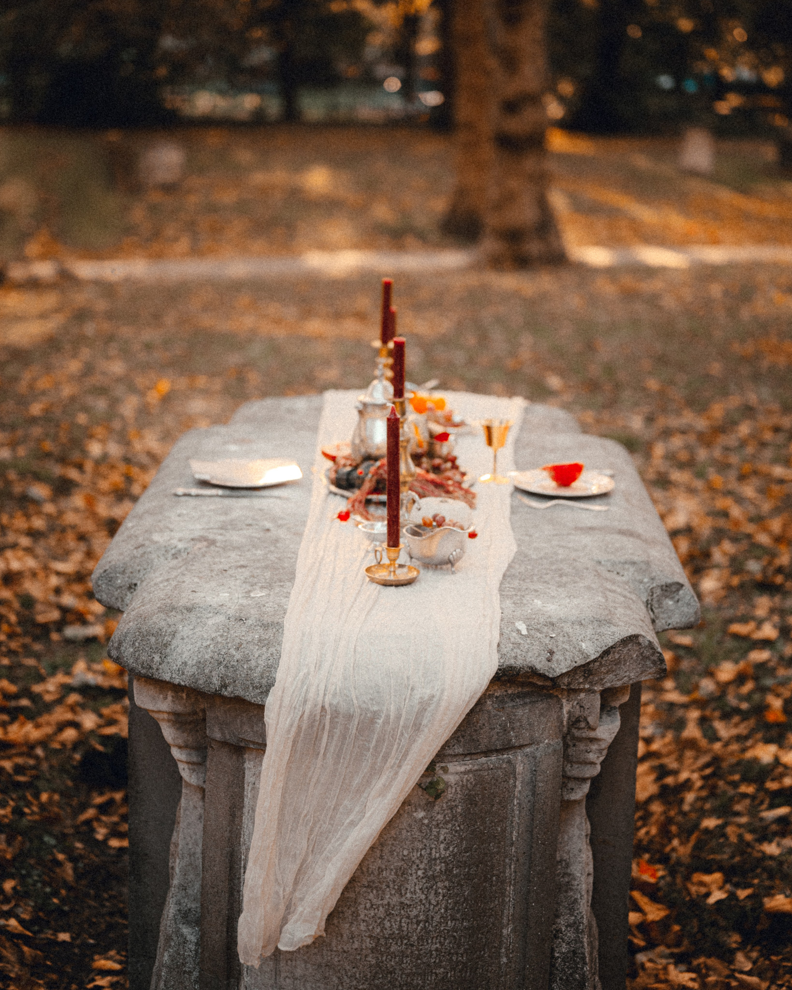Vampire’s Dinner — Event Promo. Moth & Moss Photography