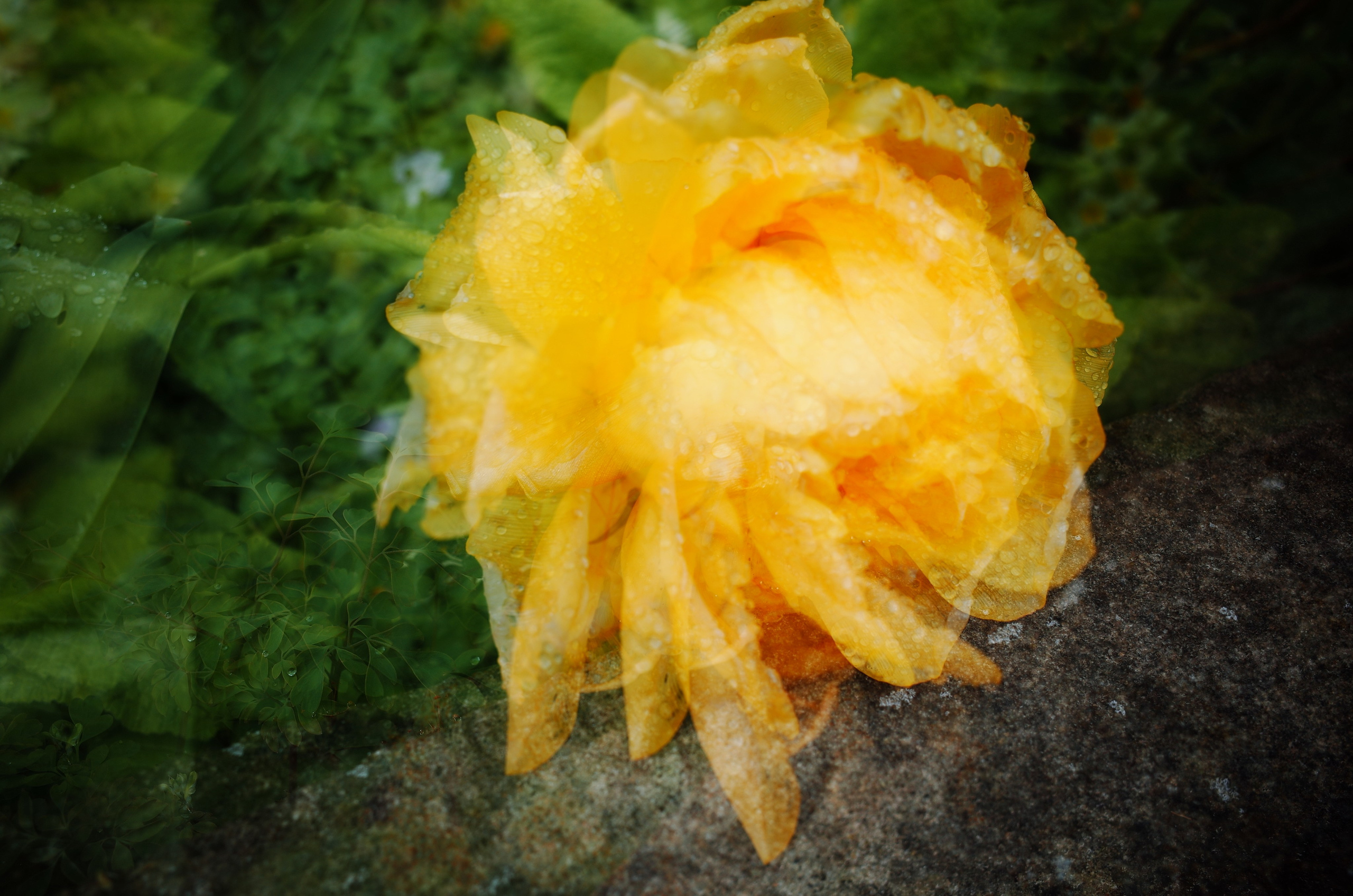 Kingsnorth in Gold. Victoria Dini. Art photography in London / Folkestone, UK