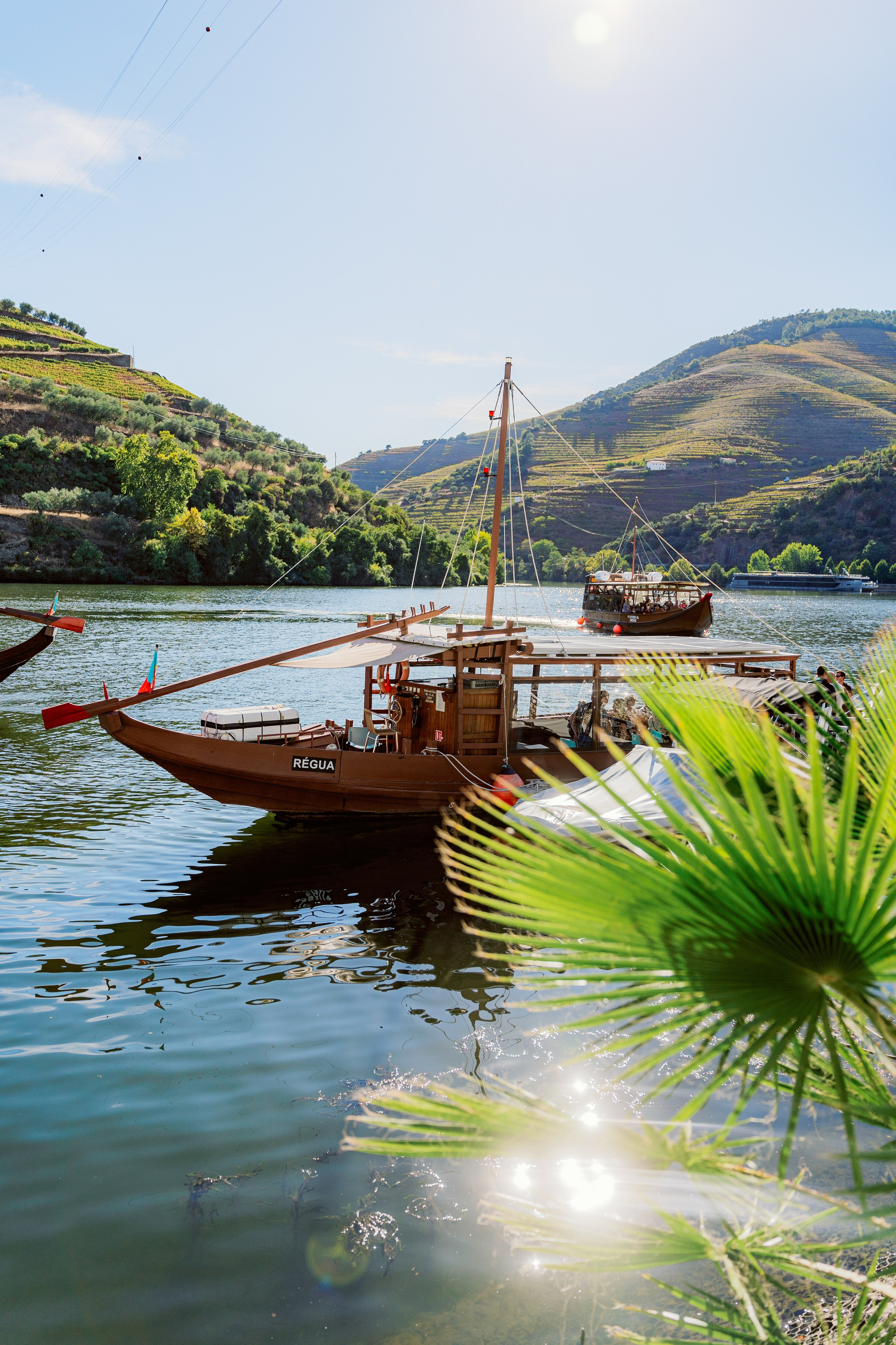 Долина Дору: полное погружение