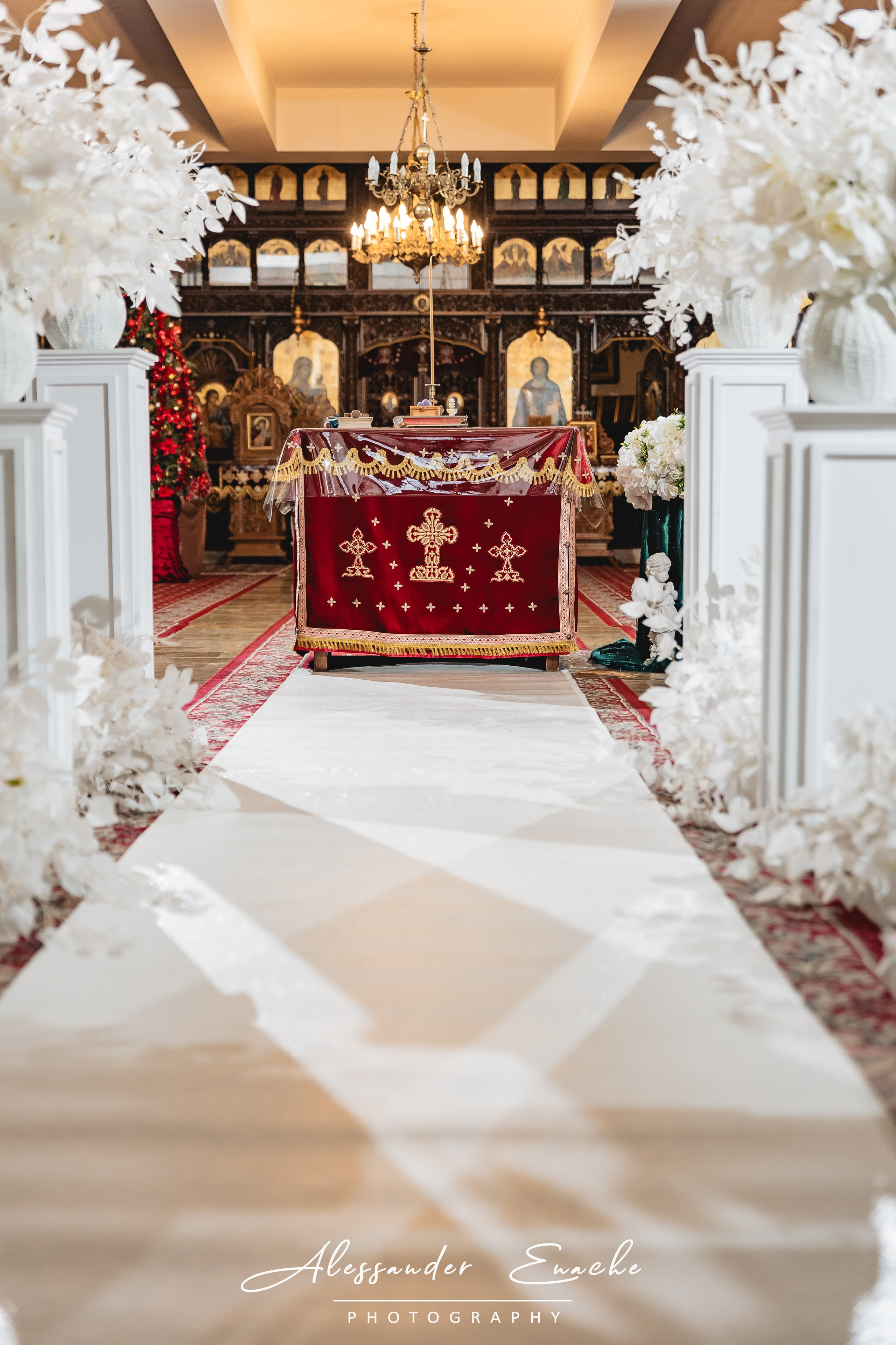 Amir. Fotograf prin #Piatraneamt-Alessander Enache