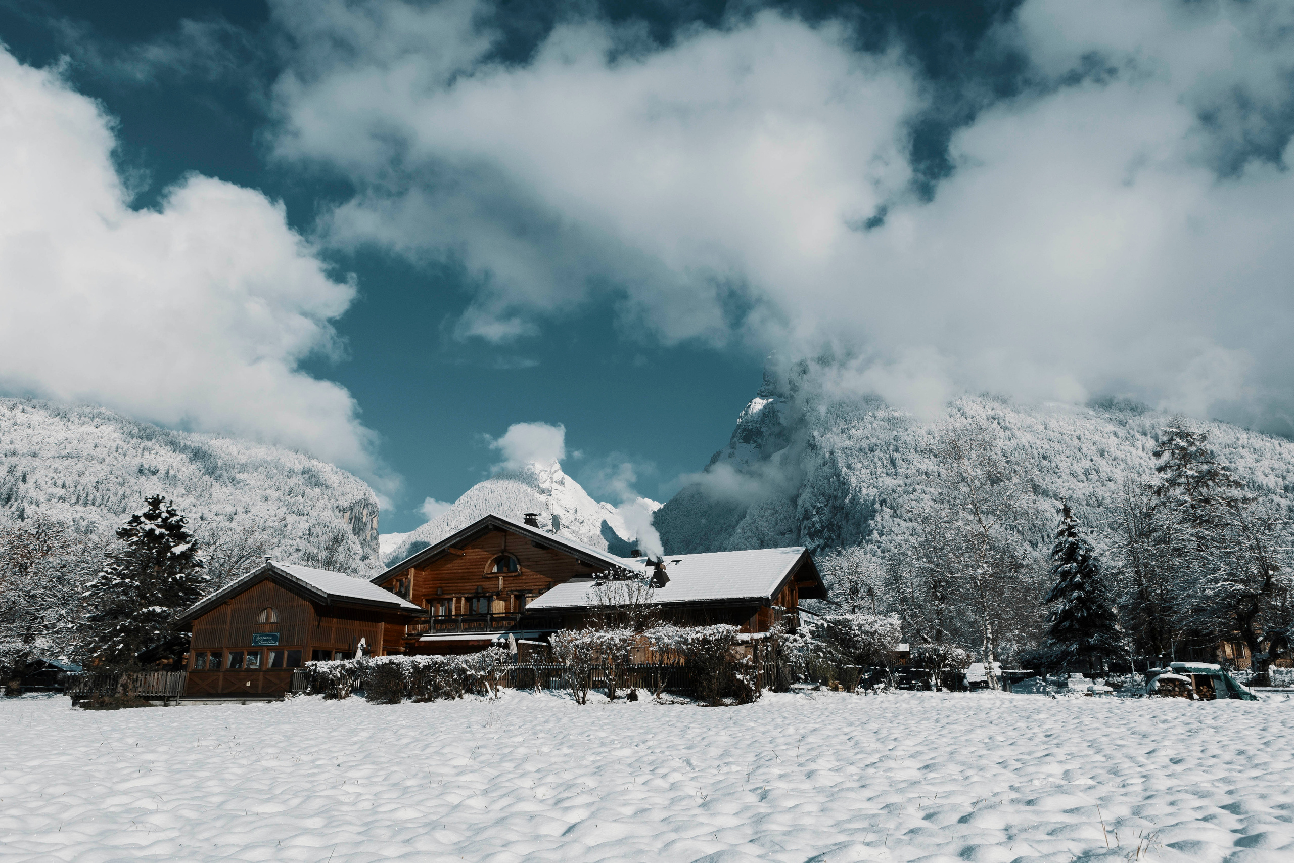 CLIENTS. OLGA REPTIK