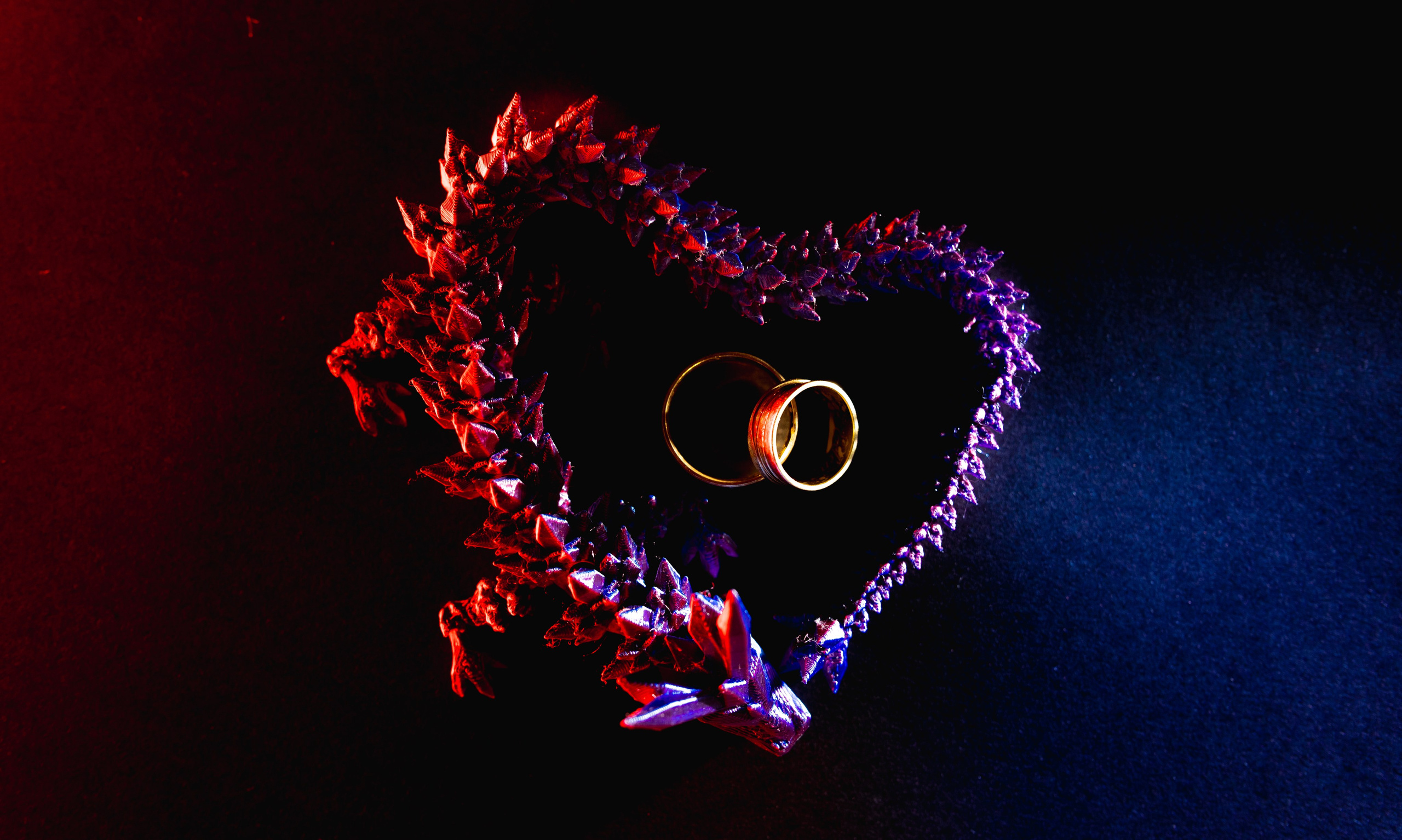 Portofoliu Fotograf Nunta Tulcea — Selectii | Codux. Codux — Fotograf Tulcea | Fotograf Evenimente