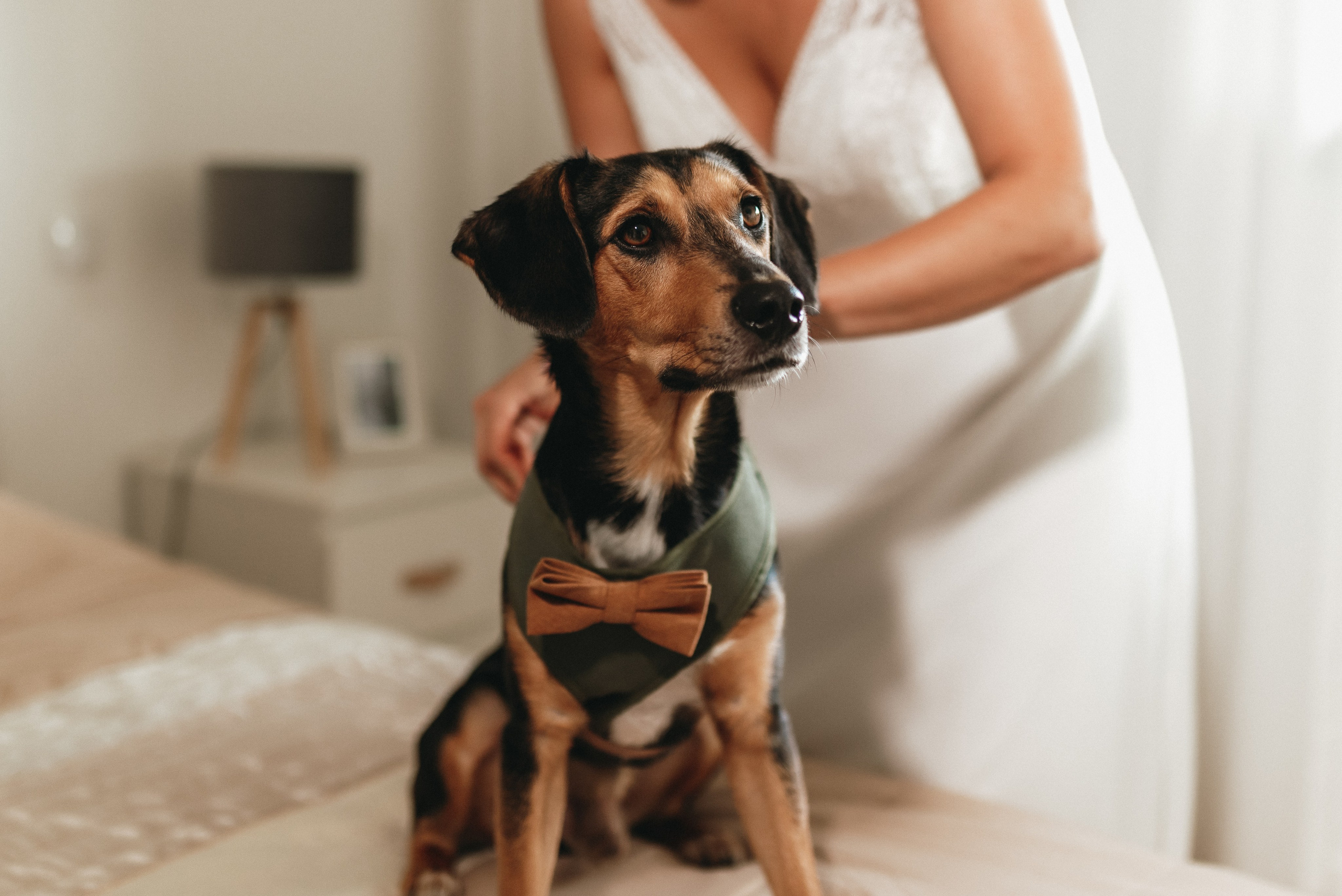 São & Luís. Photographe de mariage et de famille à Braga — Alexandra Mieres Photography