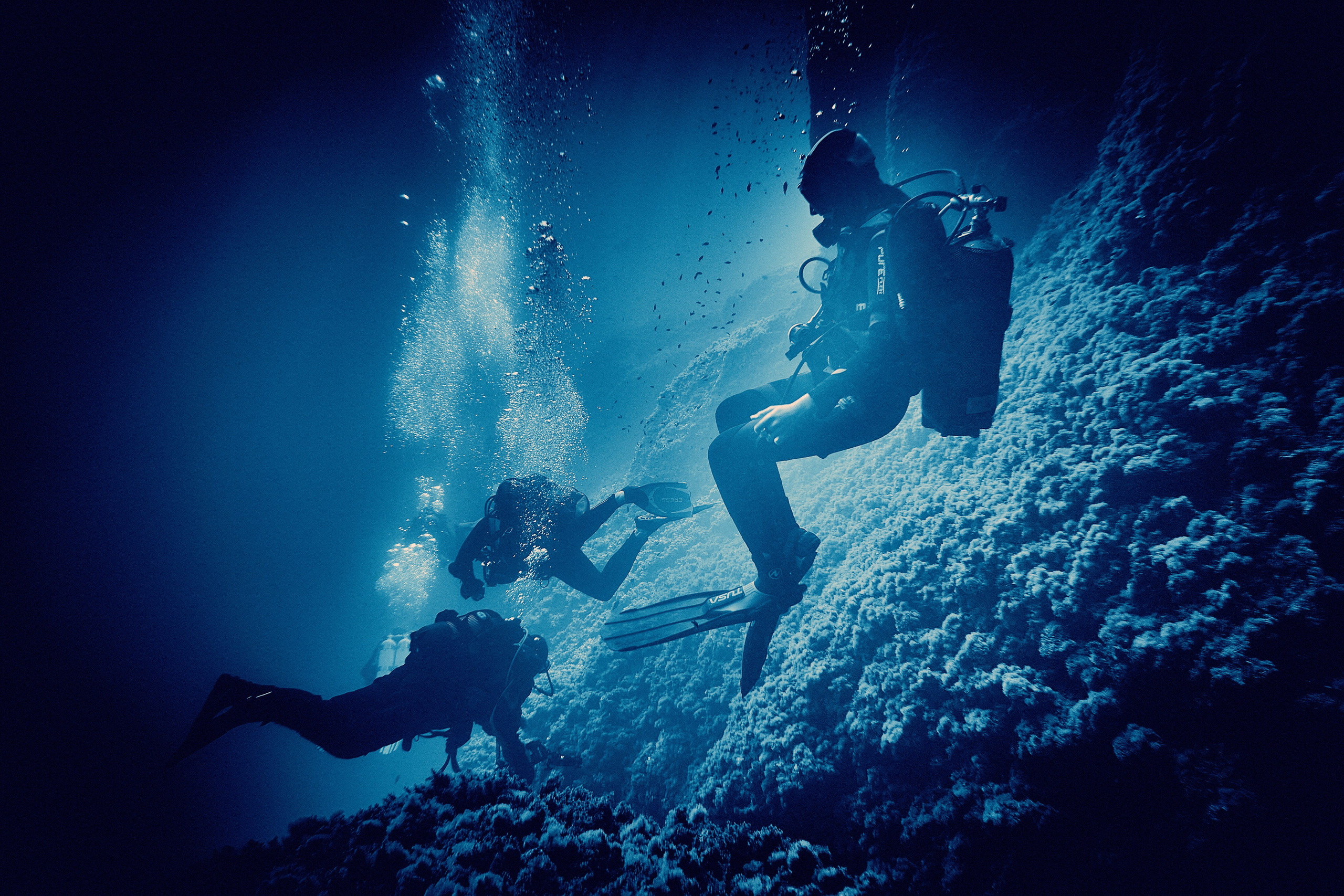 Fotograf podwodny Andriej Szypiłow. Andriej Szypilow - Fotografia & Wideografia