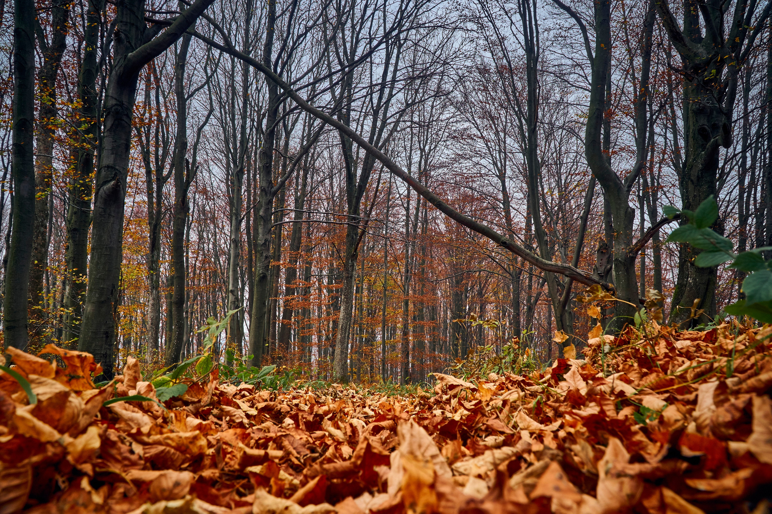 Bieszczady - tu zatrzymuje się czas. Andriej Szypilow - Fotografia & Wideografia