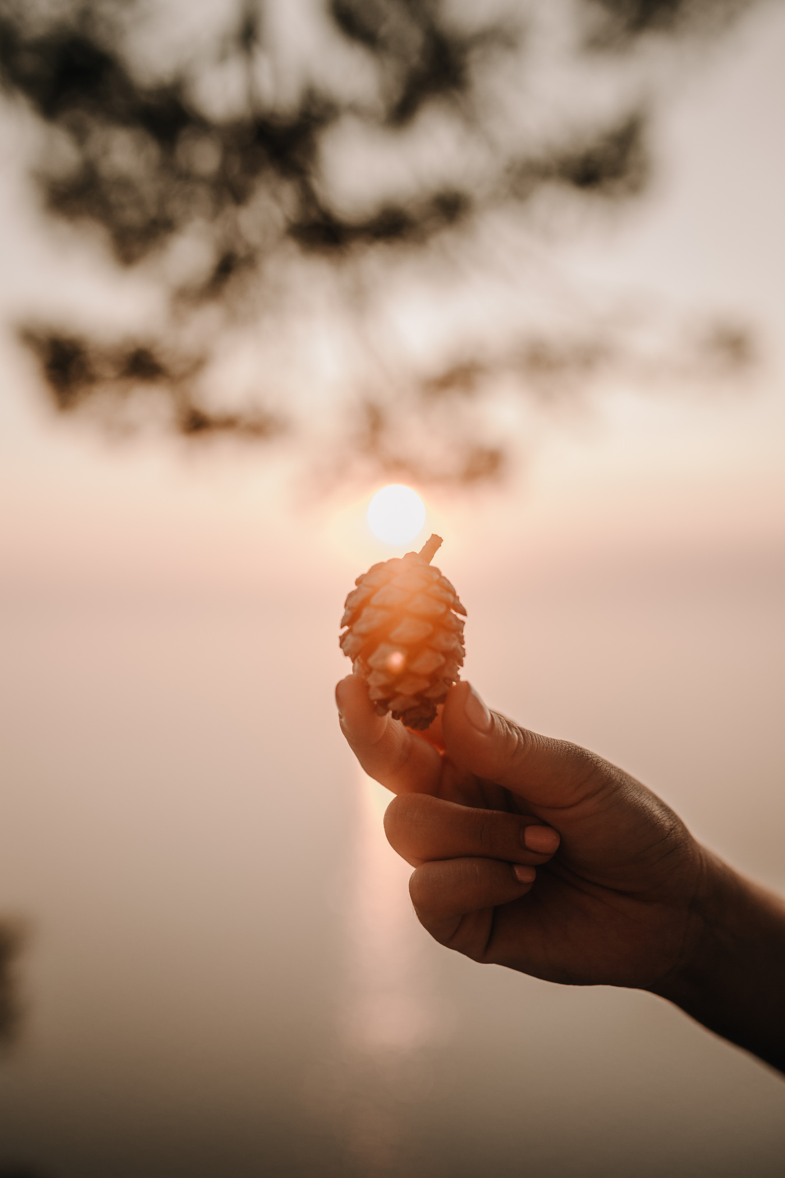 LORENA & ALEX. Mauricio Alcibar – Fotógrafo de bodas y familias en Palma de Mallorca