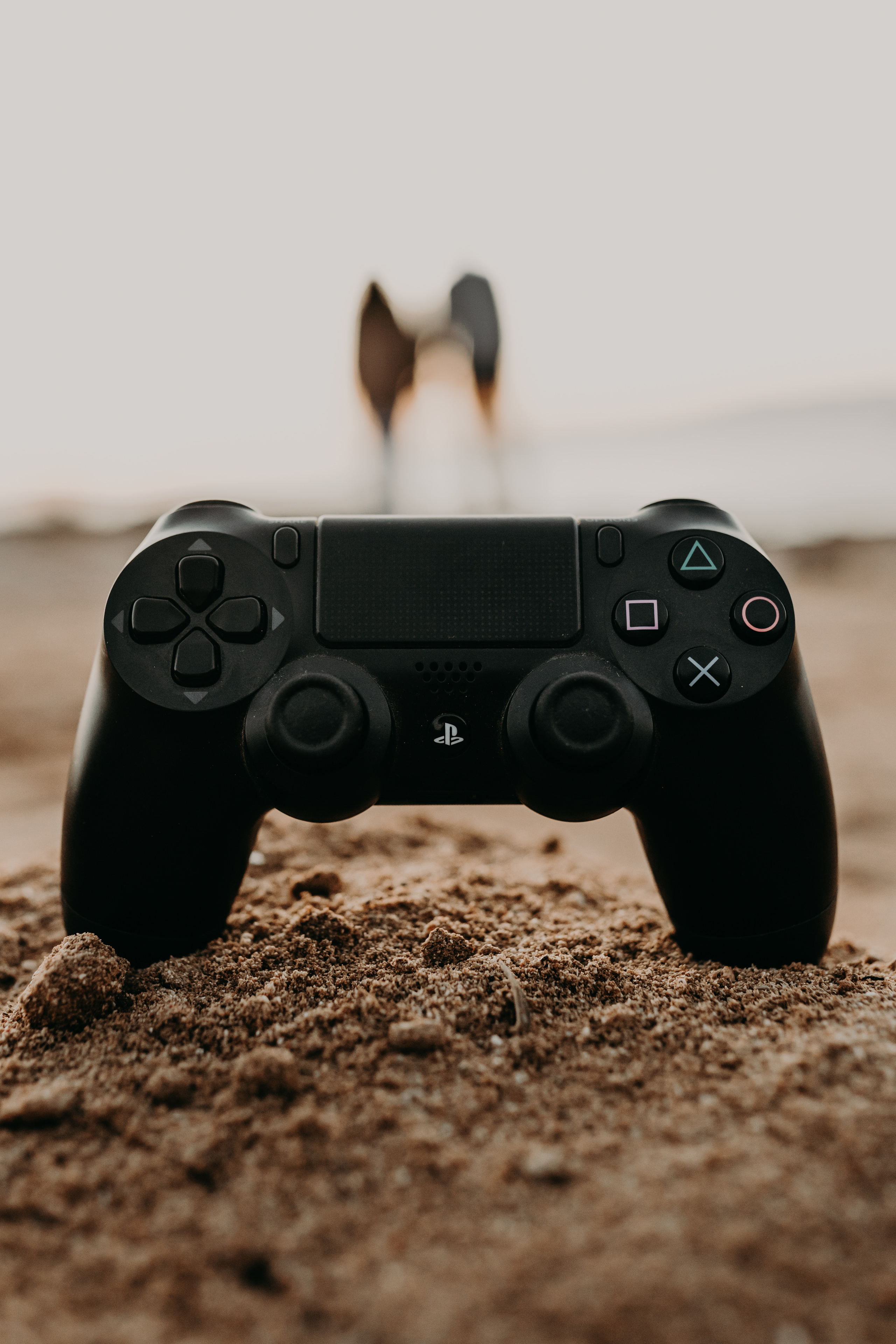 ALBA & RAÚL. Mauricio Alcibar – Fotógrafo de bodas y familias en Palma de Mallorca