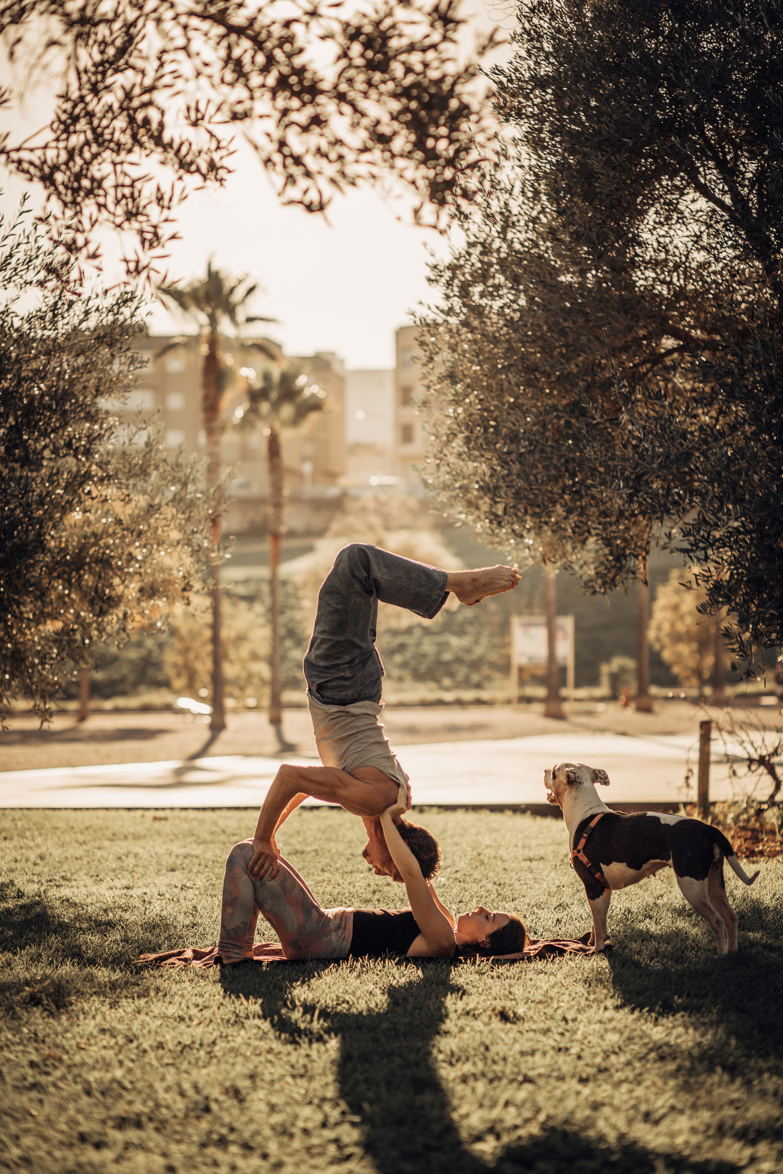 ANABEL & JOSHUA. Mauricio Alcibar – Fotógrafo de bodas y familias en Palma de Mallorca