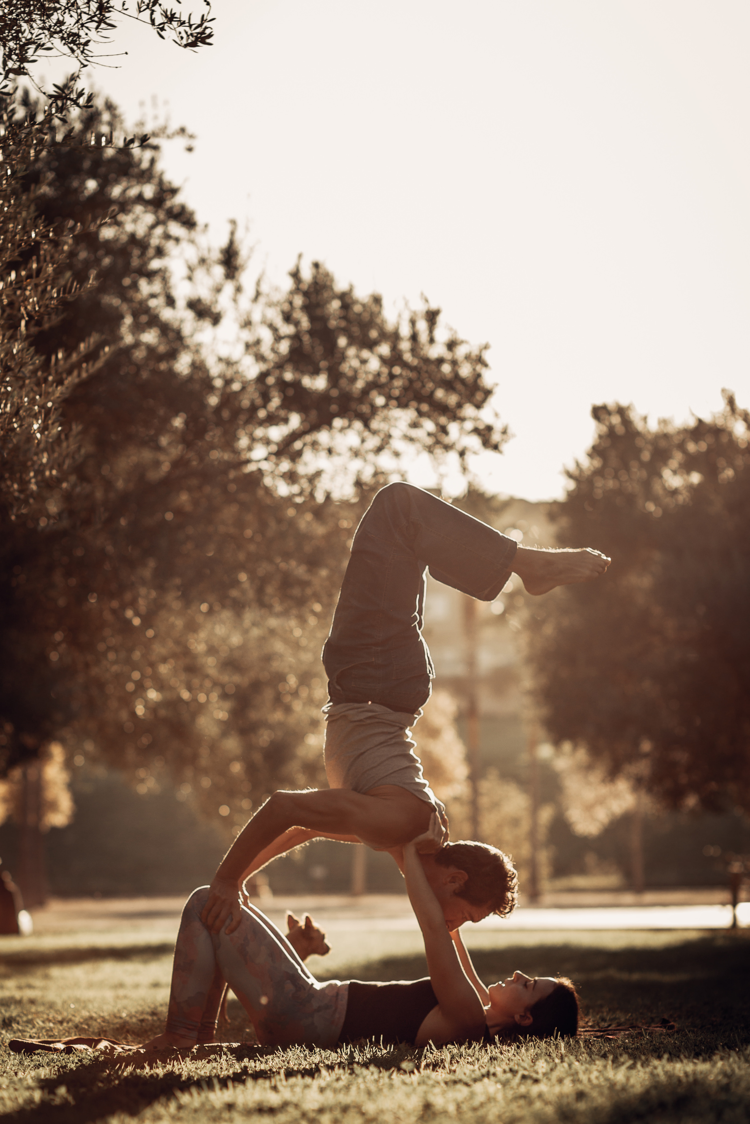 ANABEL & JOSHUA. Mauricio Alcibar – Fotógrafo de bodas y familias en Palma de Mallorca