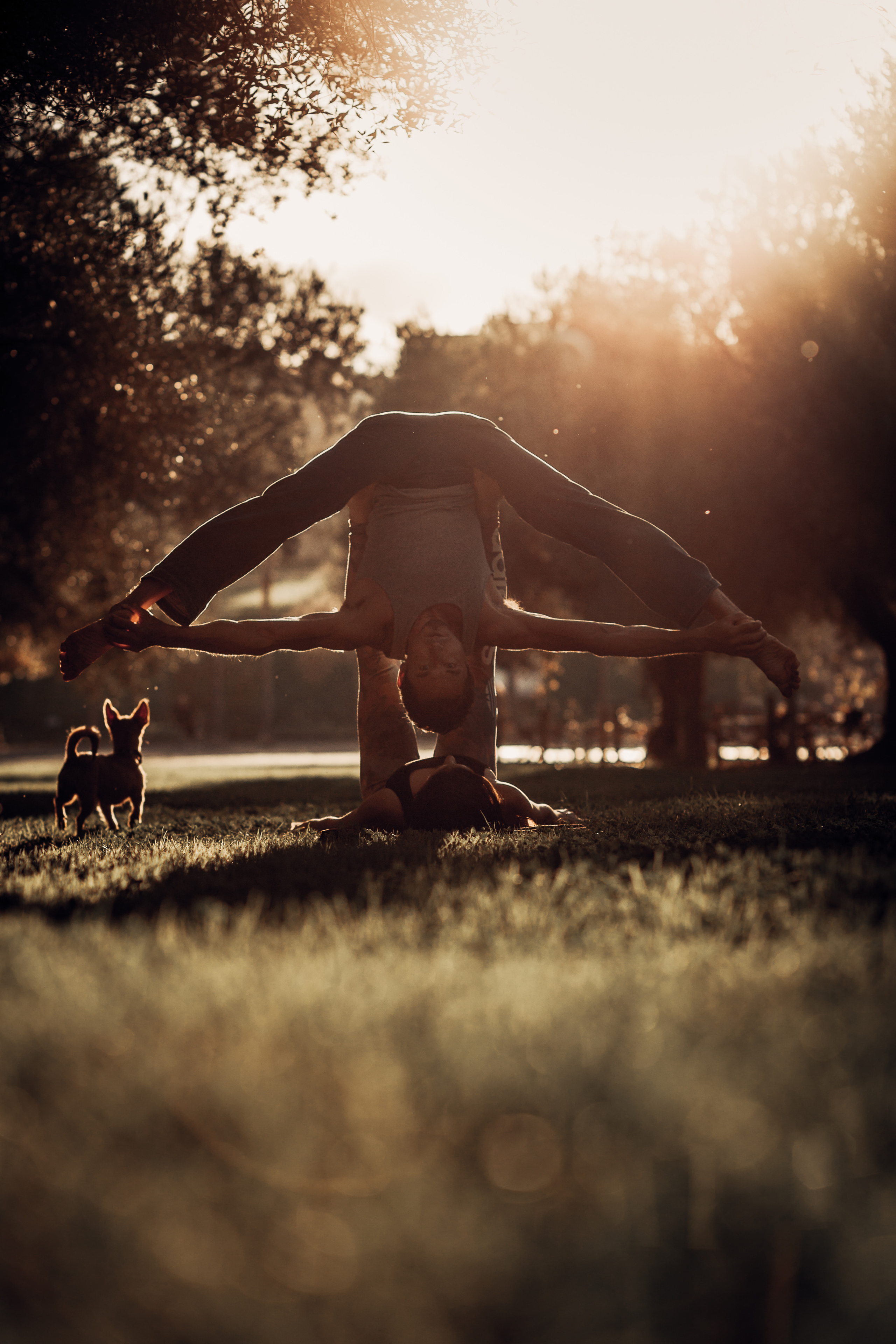 ANABEL & JOSHUA. Mauricio Alcibar – Fotógrafo de bodas y familias en Palma de Mallorca