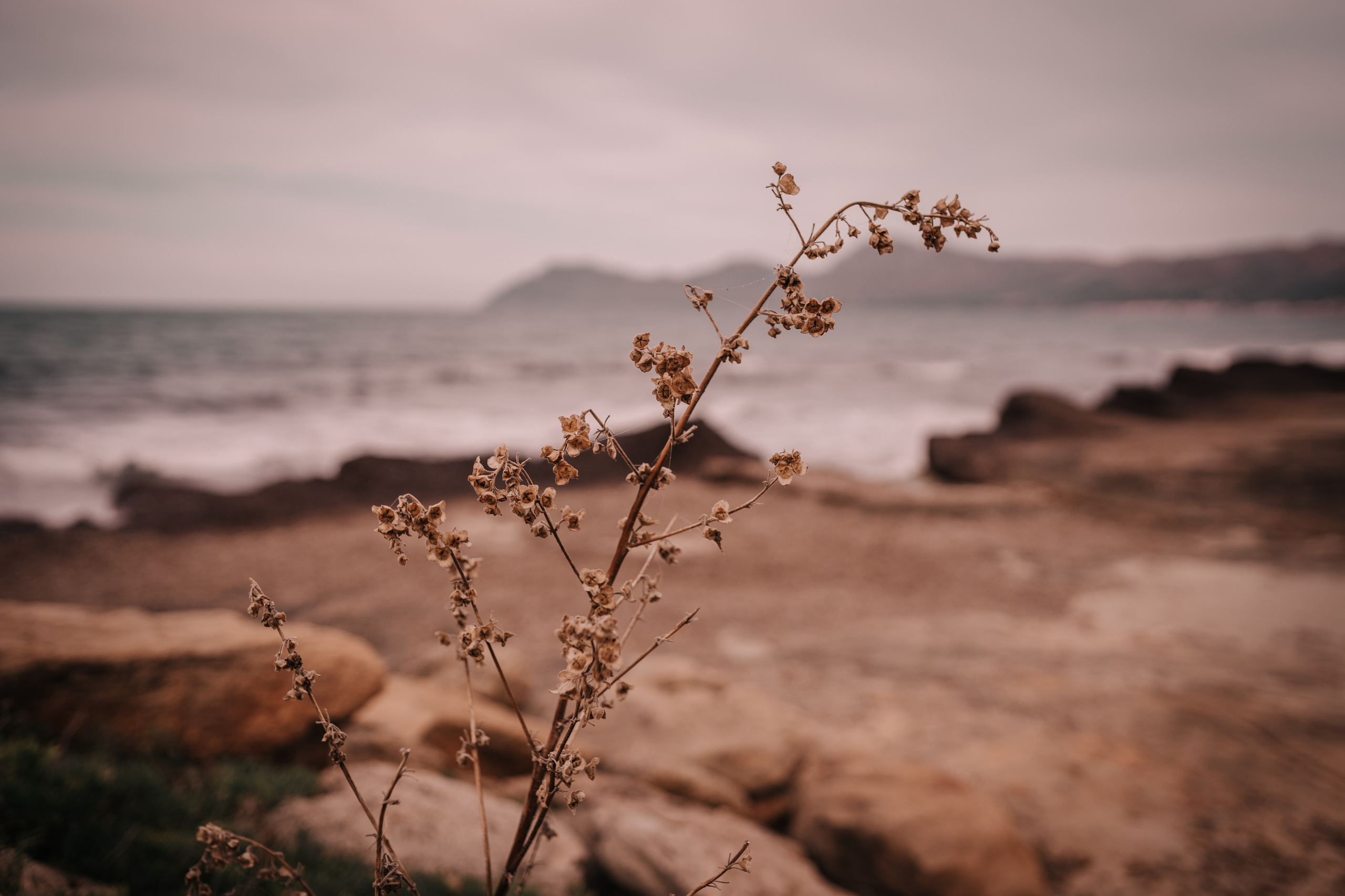 DIVIRTIENDOSE EN LA PLAYA. SPLASH Fotógrafo de bodas y familias en Palma de Mallorca | Mauricio Alcibar