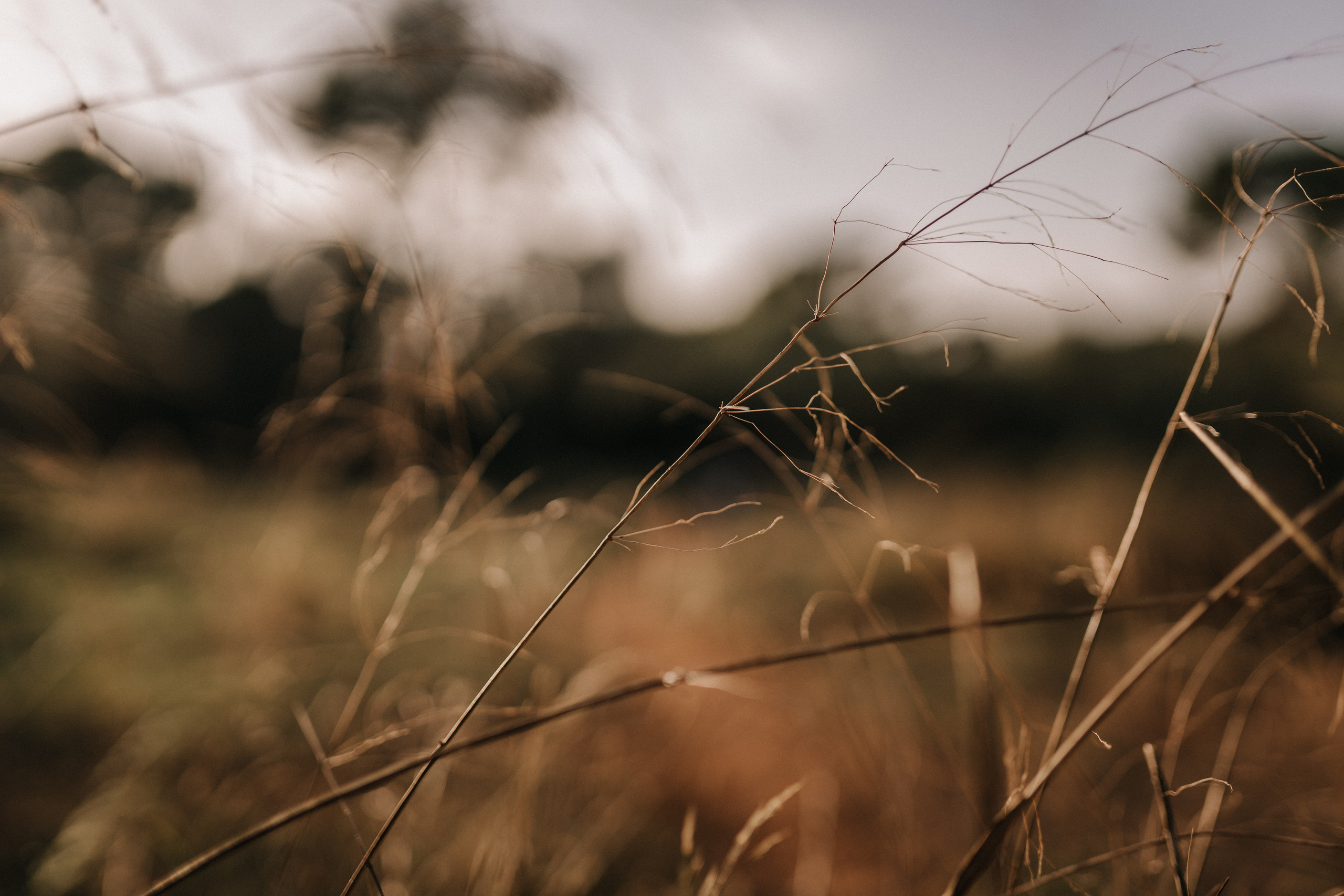 ALBA. SPLASH Fotógrafo de bodas y familias en Palma de Mallorca | Mauricio Alcibar