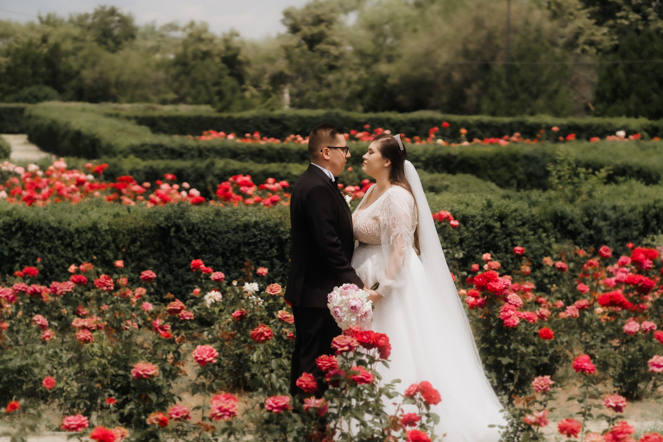 Andreea - Dan | Buzau