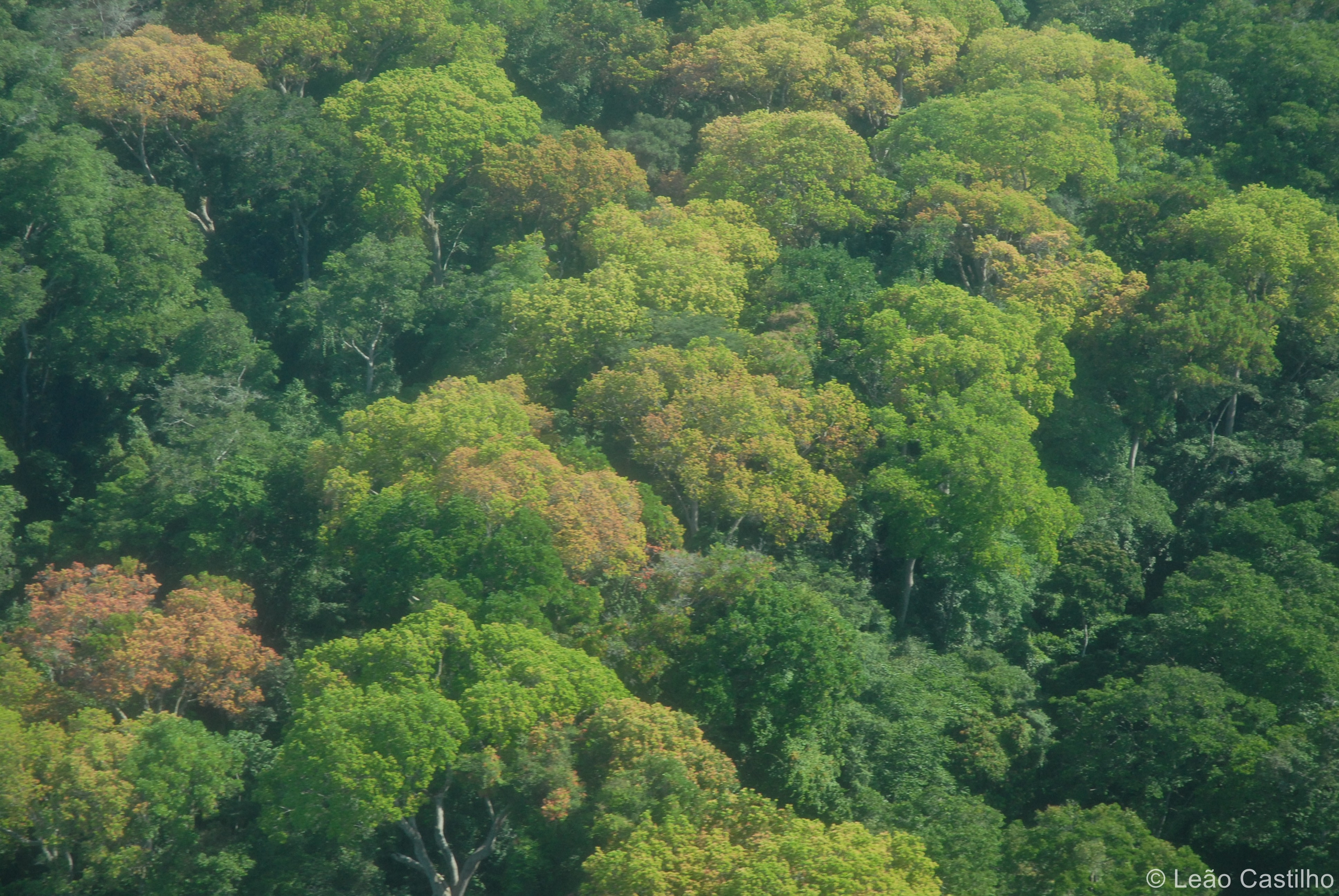 Aerial photos. Simbahalu