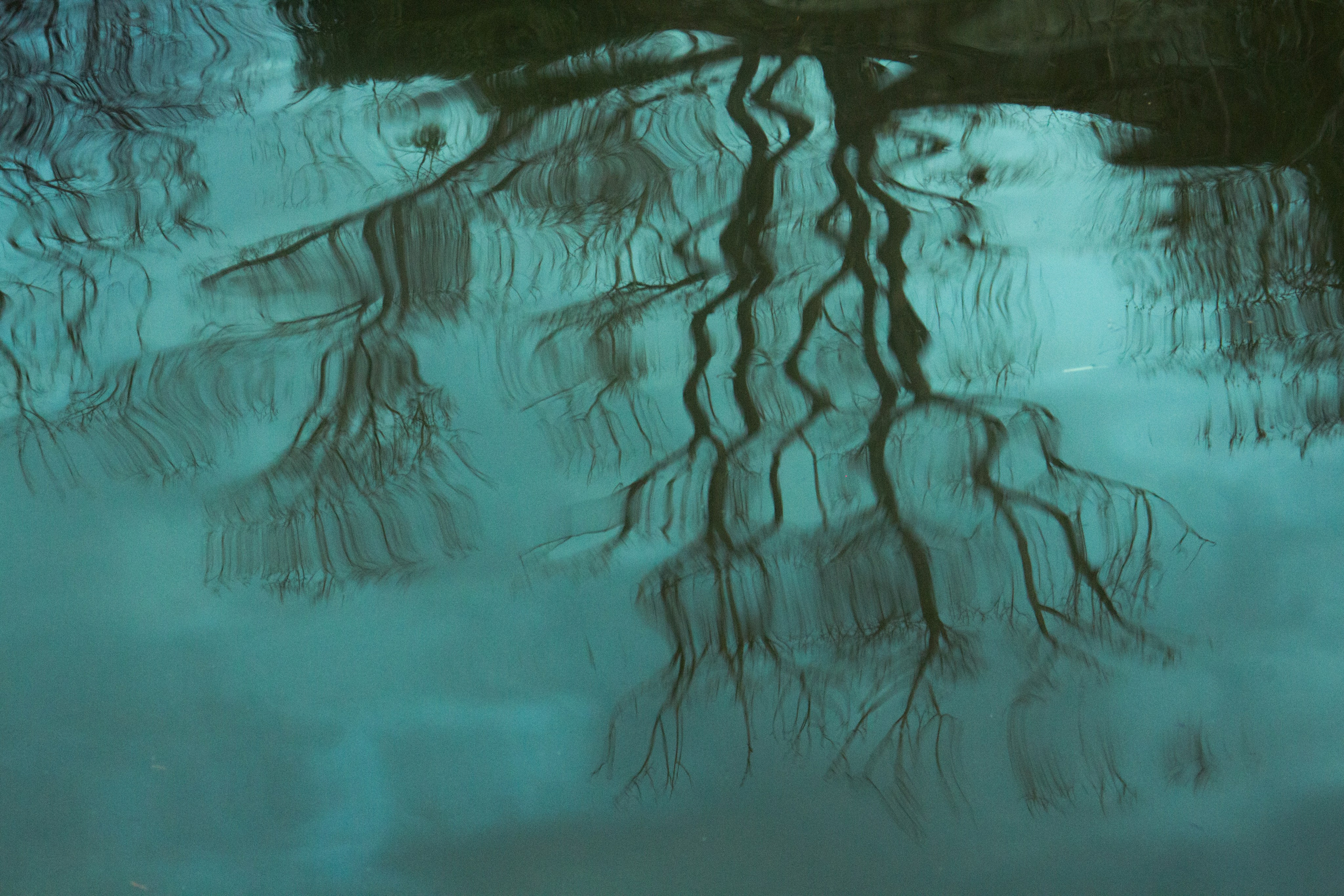 Experimental photos. Éclat Photos. Exclusive portrait photography service