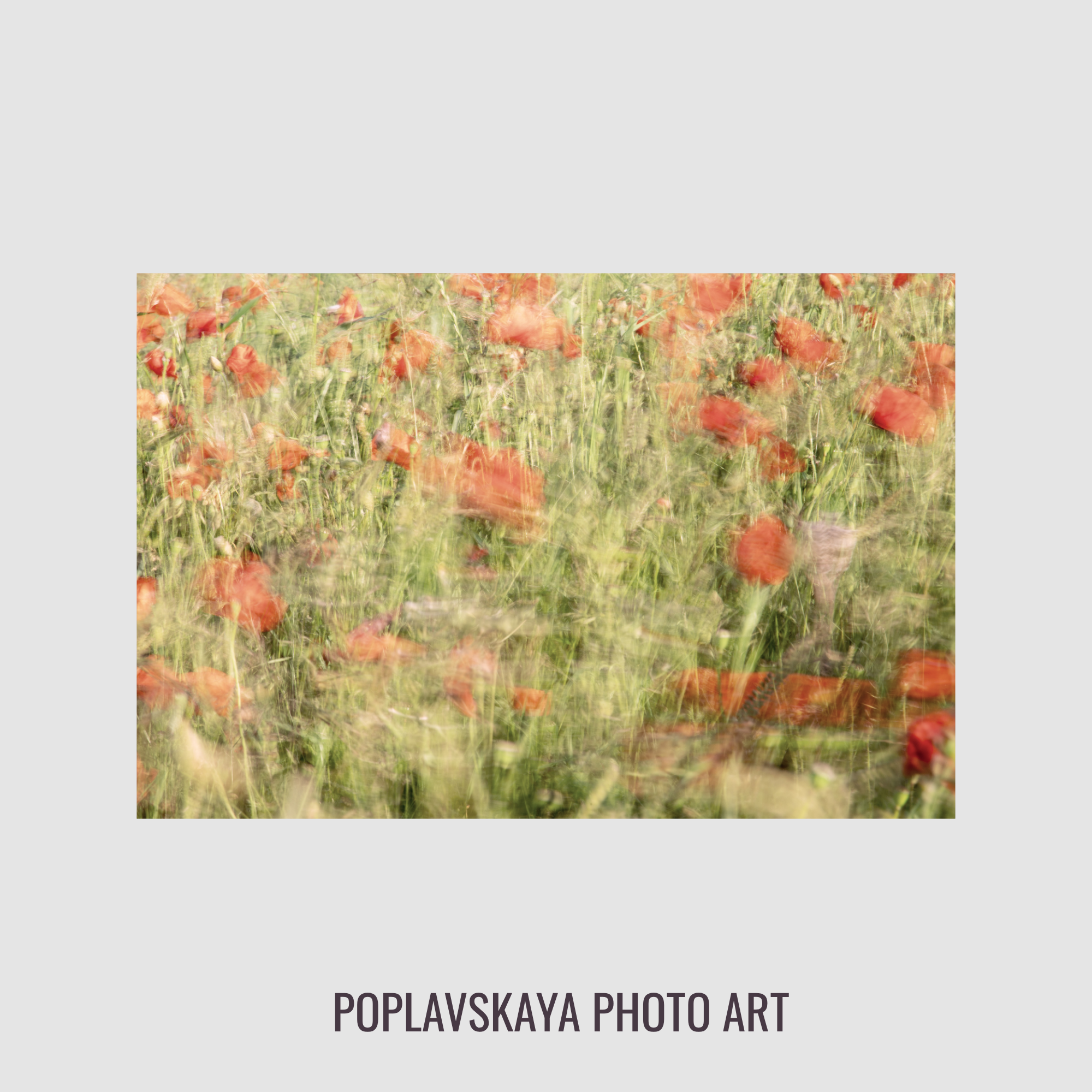 POPPIES PULSE. Natalja Poplavska — Visual artist, Photographer, East Sussex, London