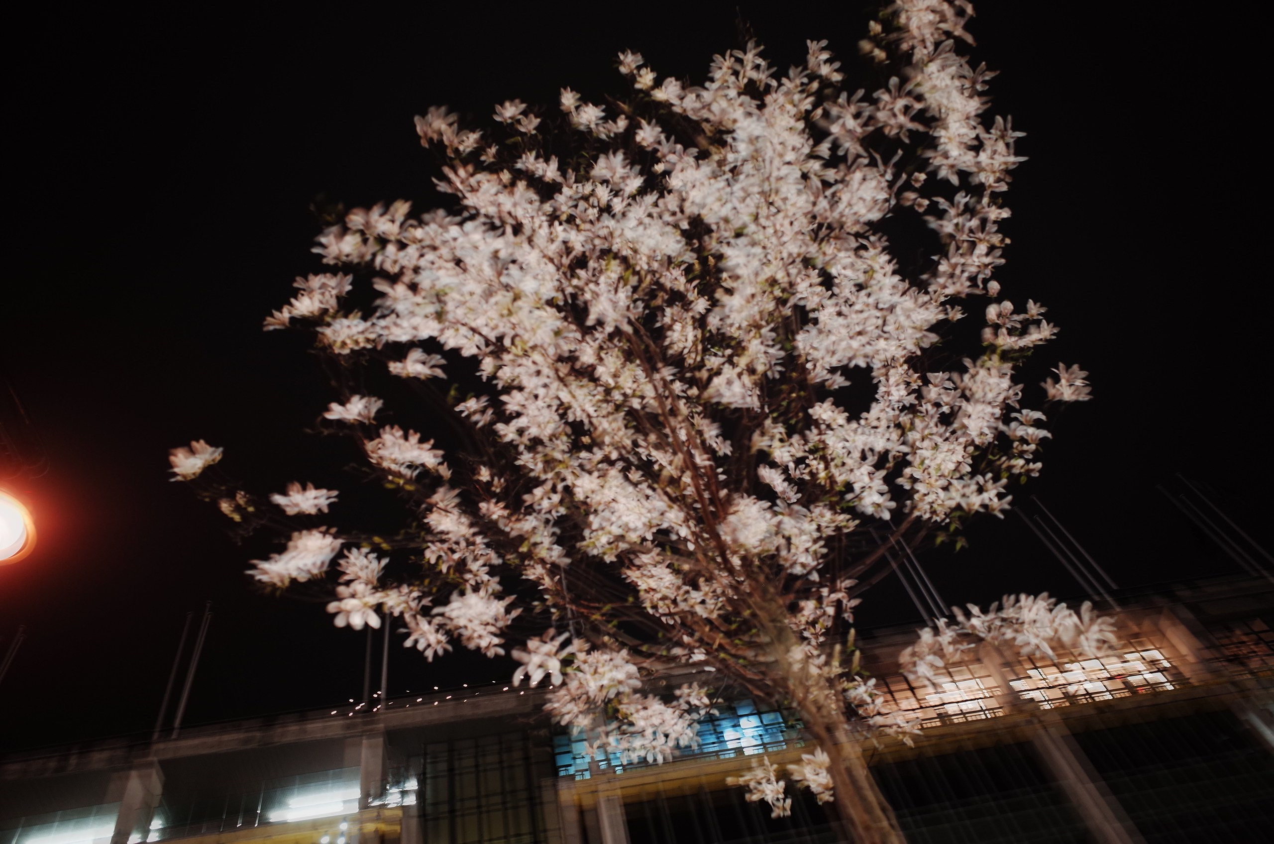 London L(ove) (ust) Letters. Виктория Дини. Арт-фотография