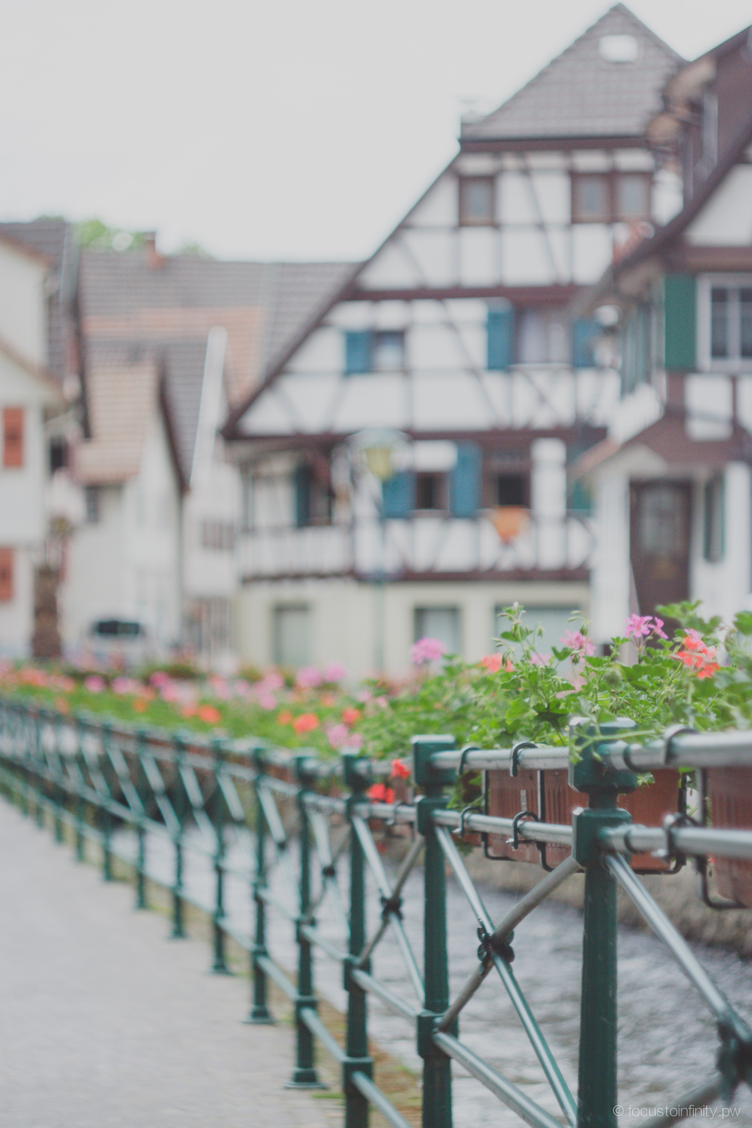 Праздник клубники в Оберкирхе. Фотограф в Германии — Мария Чистякова