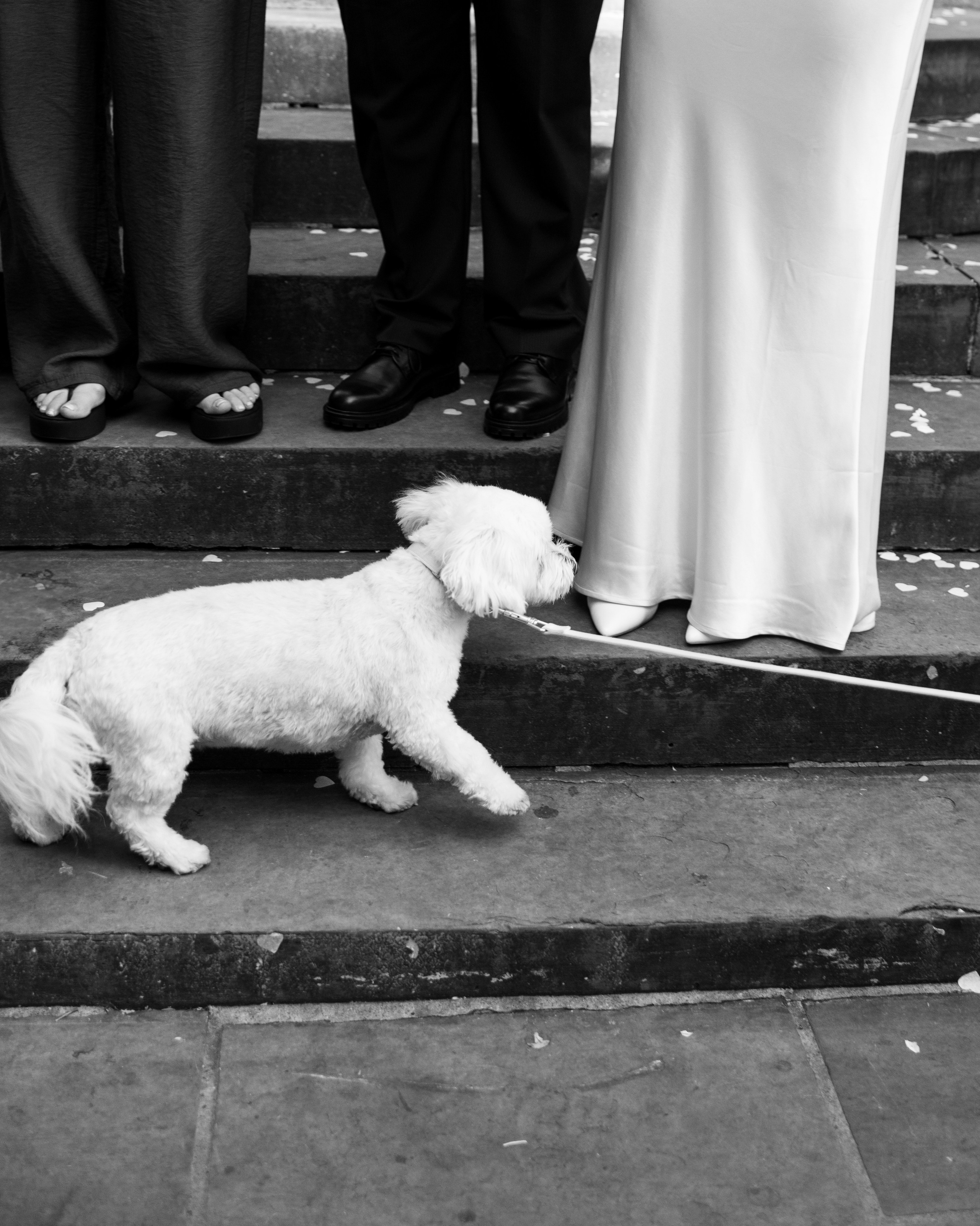 Chelsea Old Town Hall — Marta & Alexander. Timeless Wedding & Event Photography — based London, working across Europe