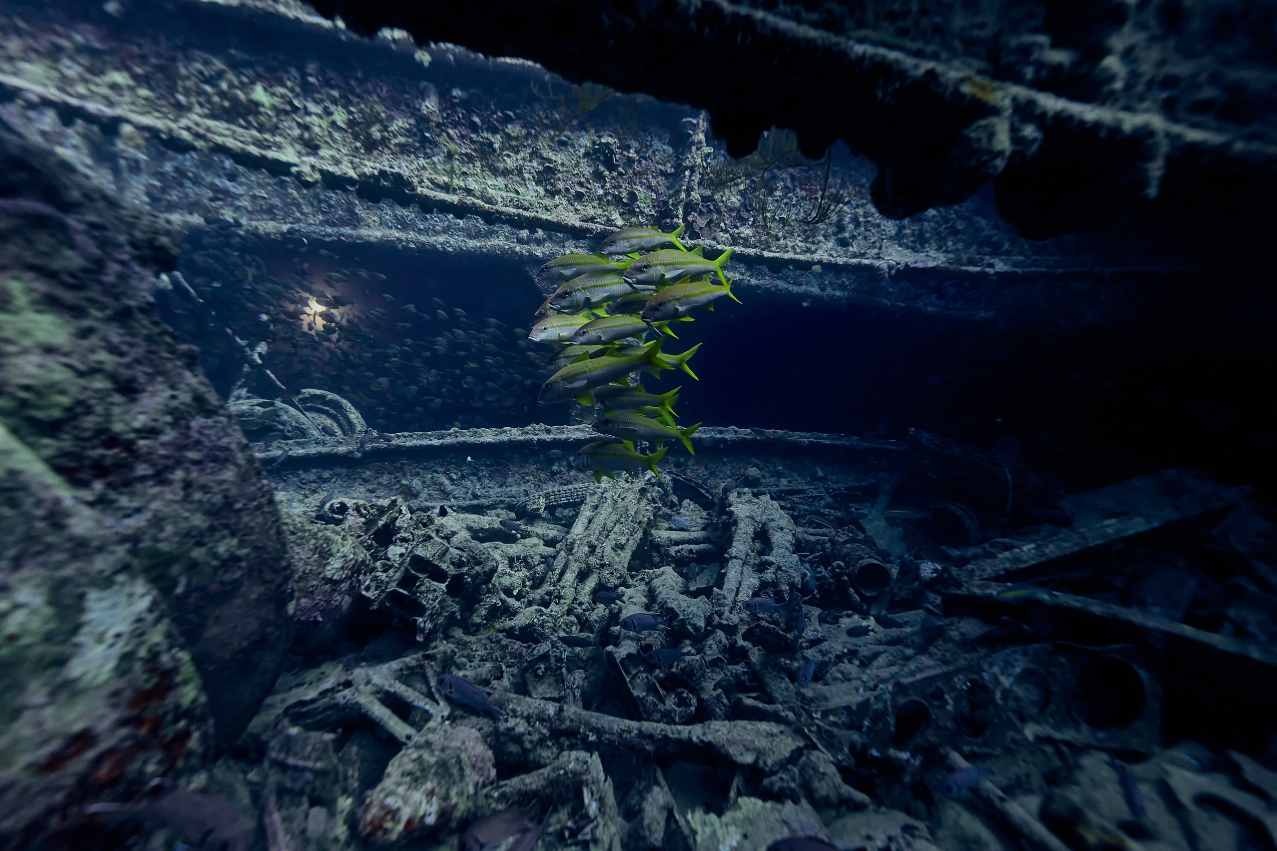 Fotograf podwodny Andriej Szypiłow - zdjęcia tajemniczego SS Thistlegorm. Underwater photographer Andriej Szypilow - photos of the mysterious SS Thistlegorm.