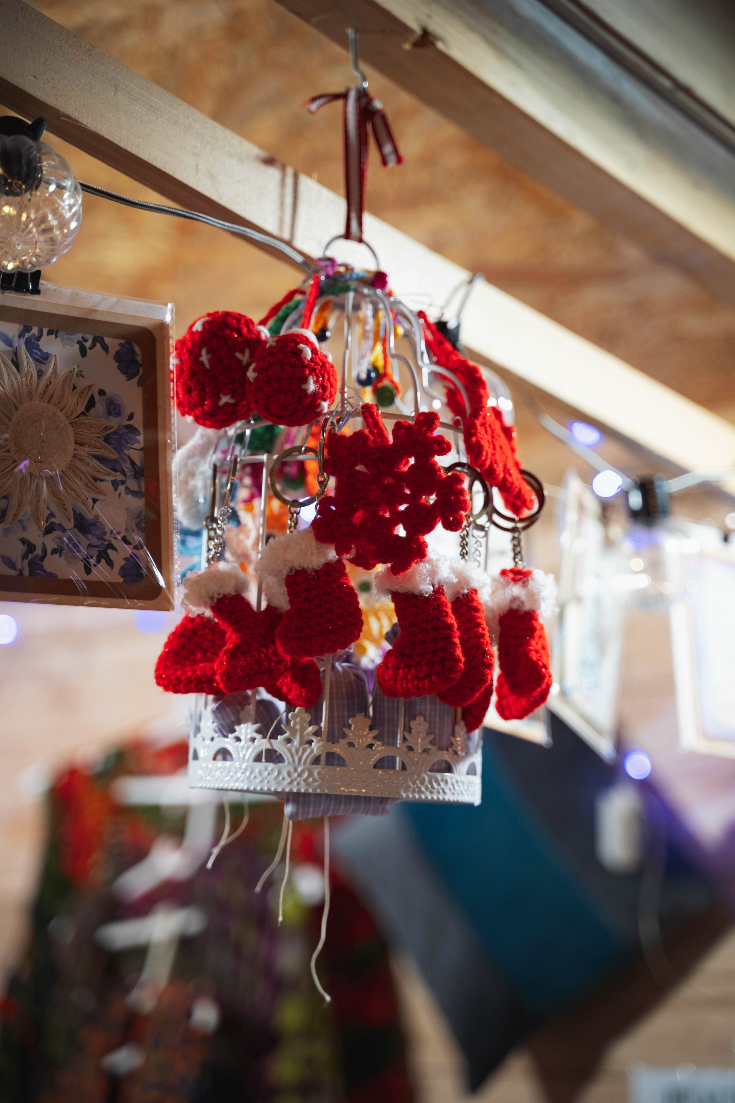 Novosadski Zimzolend. Жуков Студио