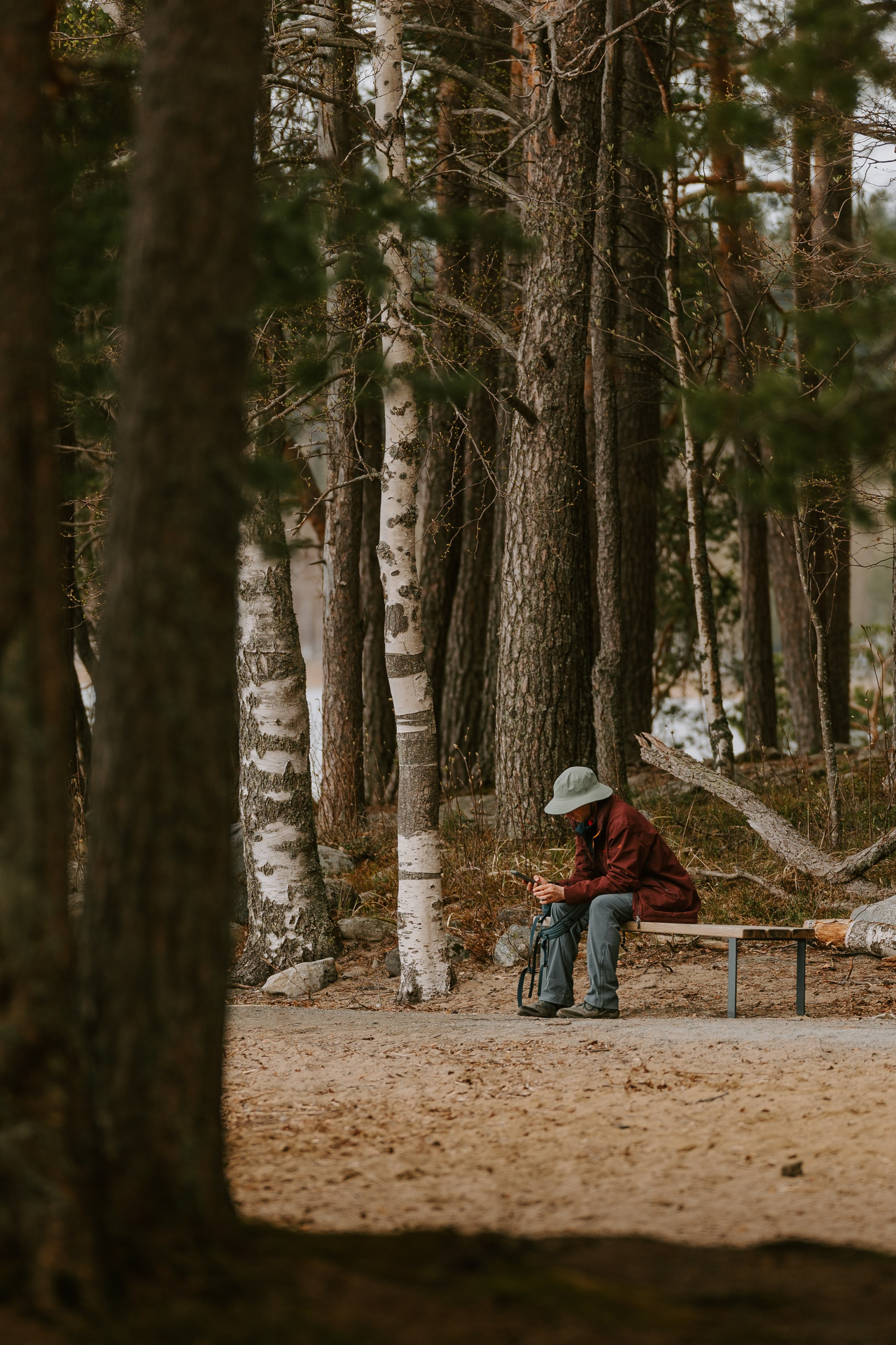 Gallery. Natasha Shakh