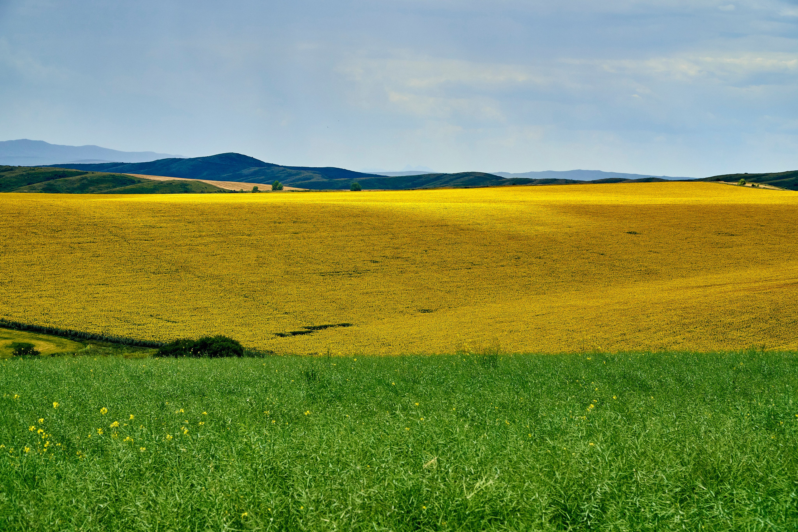 Бухтарма. Андрей Шипилов — Фотография & Видеография