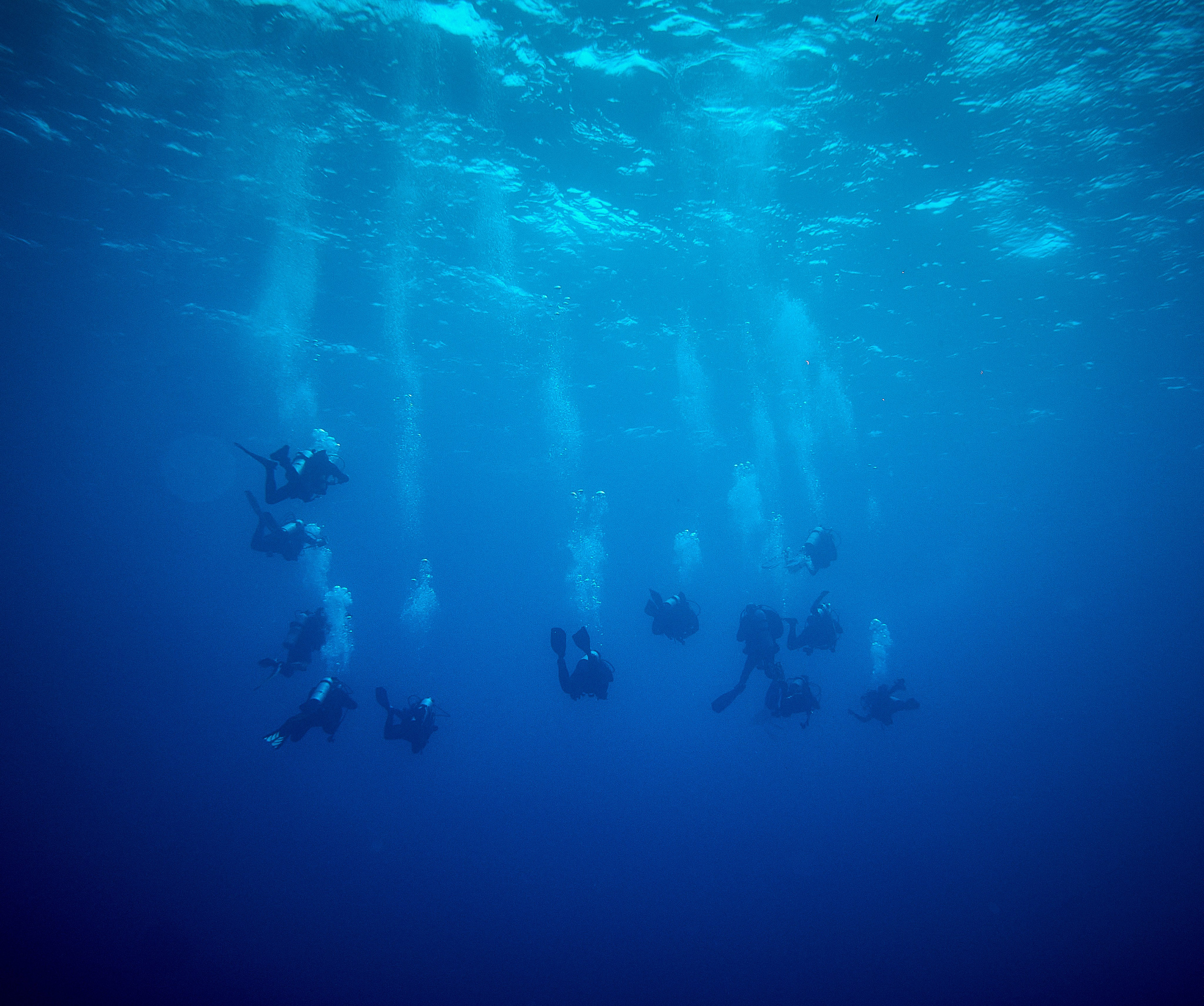 2023-11 - Diving Safari Deep South Egypt. Андрей Шипилов — Фотография & Видеография