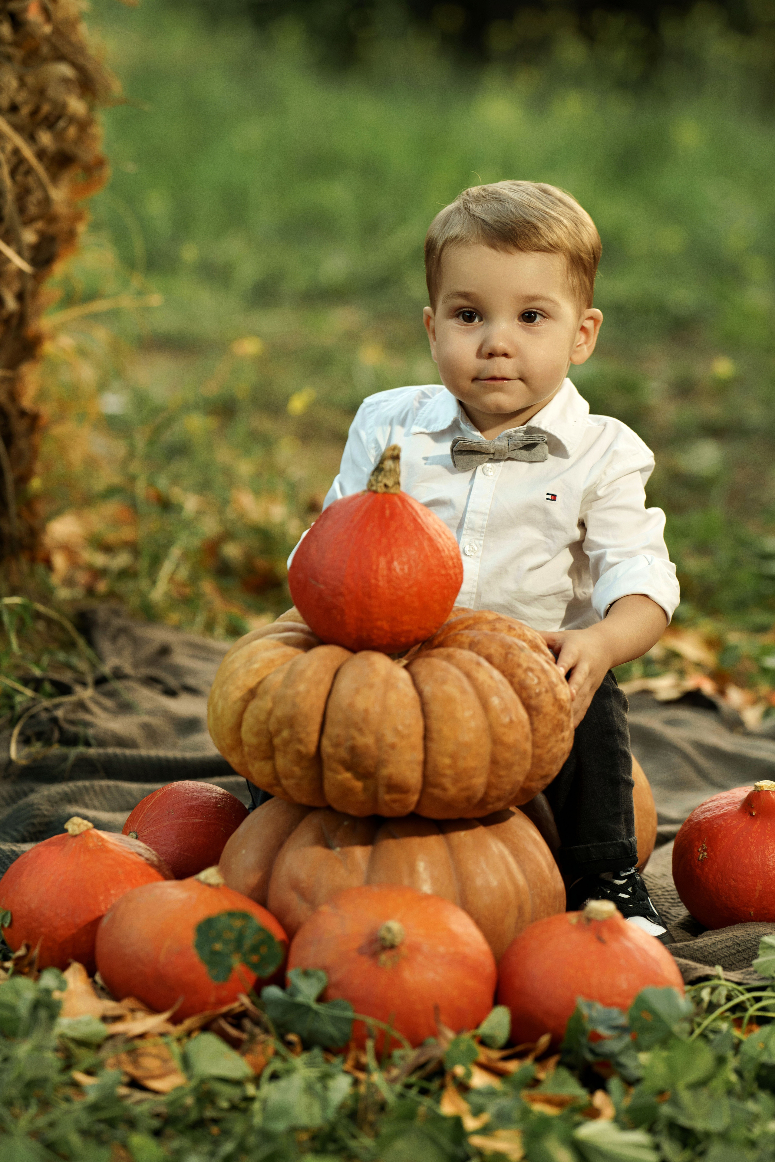 « осенний семейный день ». Главная
