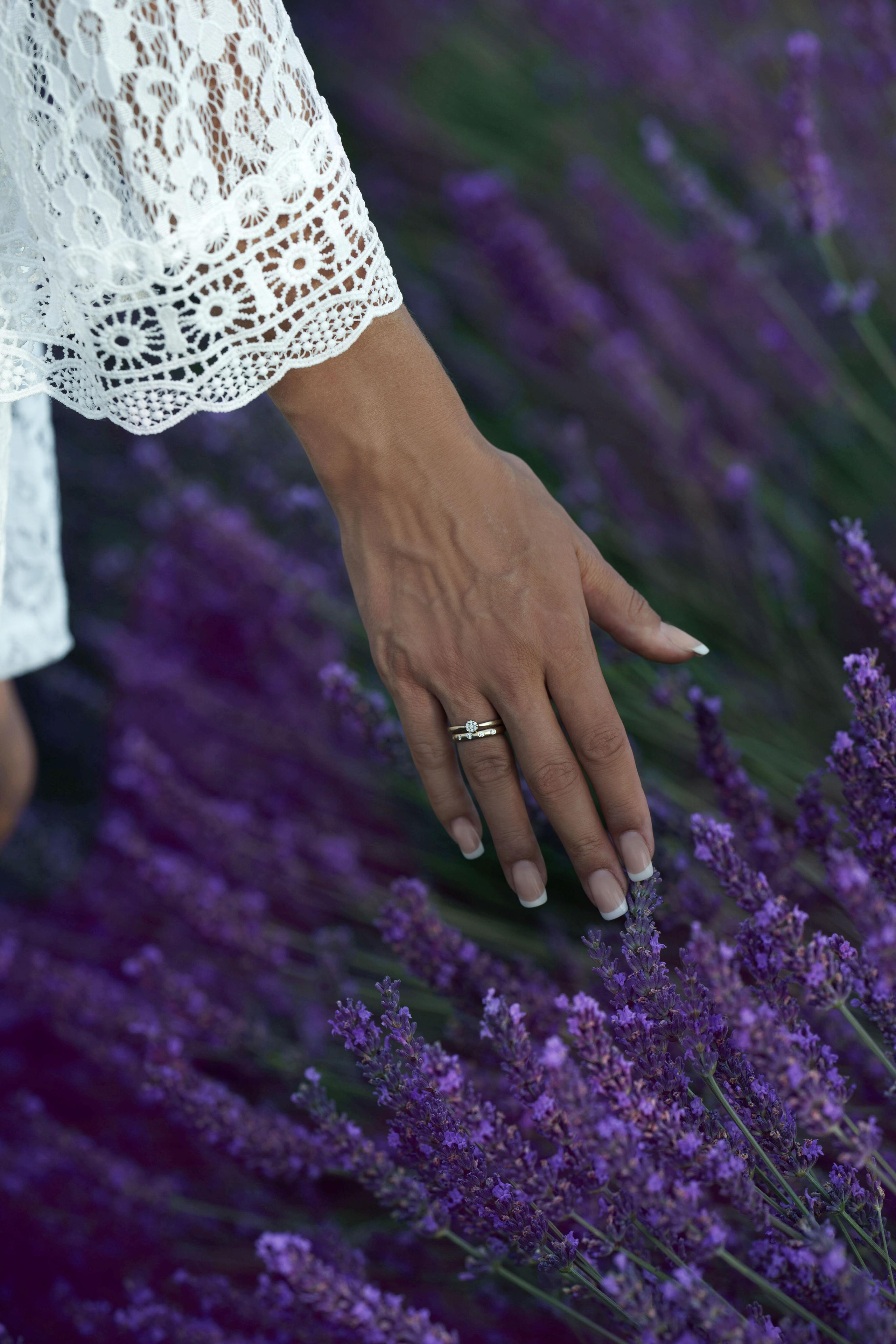 « закат в Провансе: Анна и Прованс в объективе ». Главная