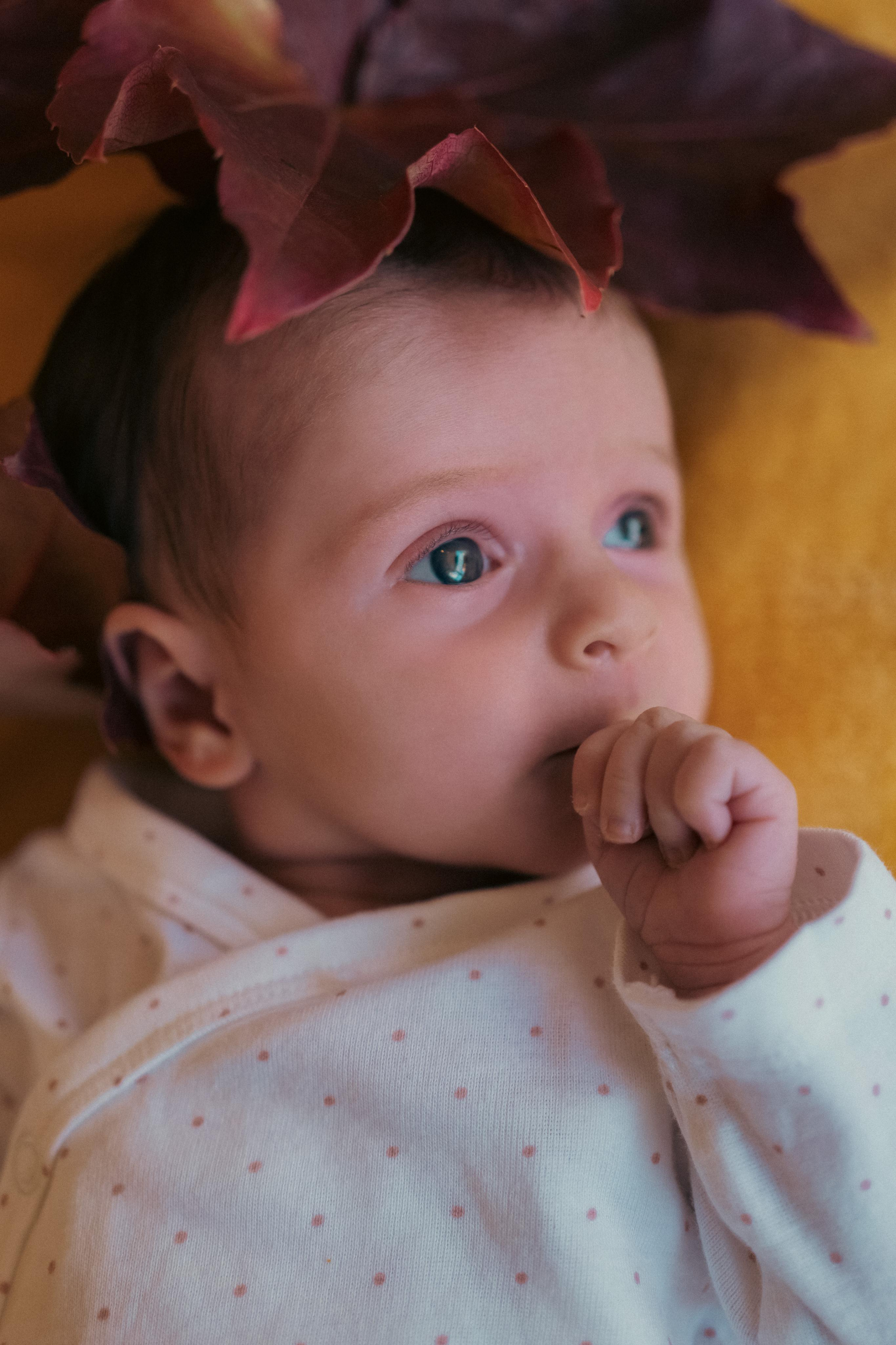 « здравствуй мир ». Главная