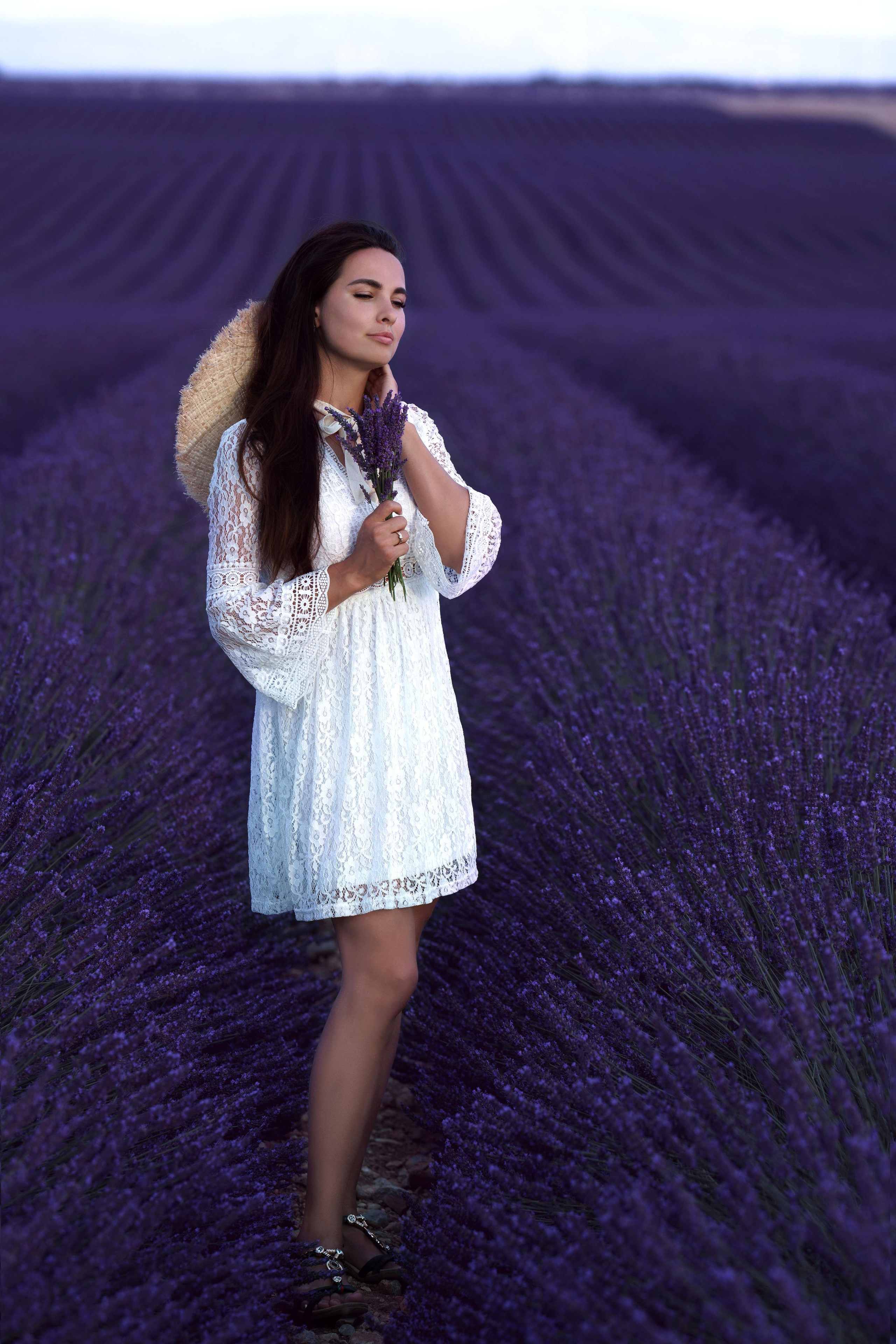 « закат в Провансе: Анна и Прованс в объективе ». Главная