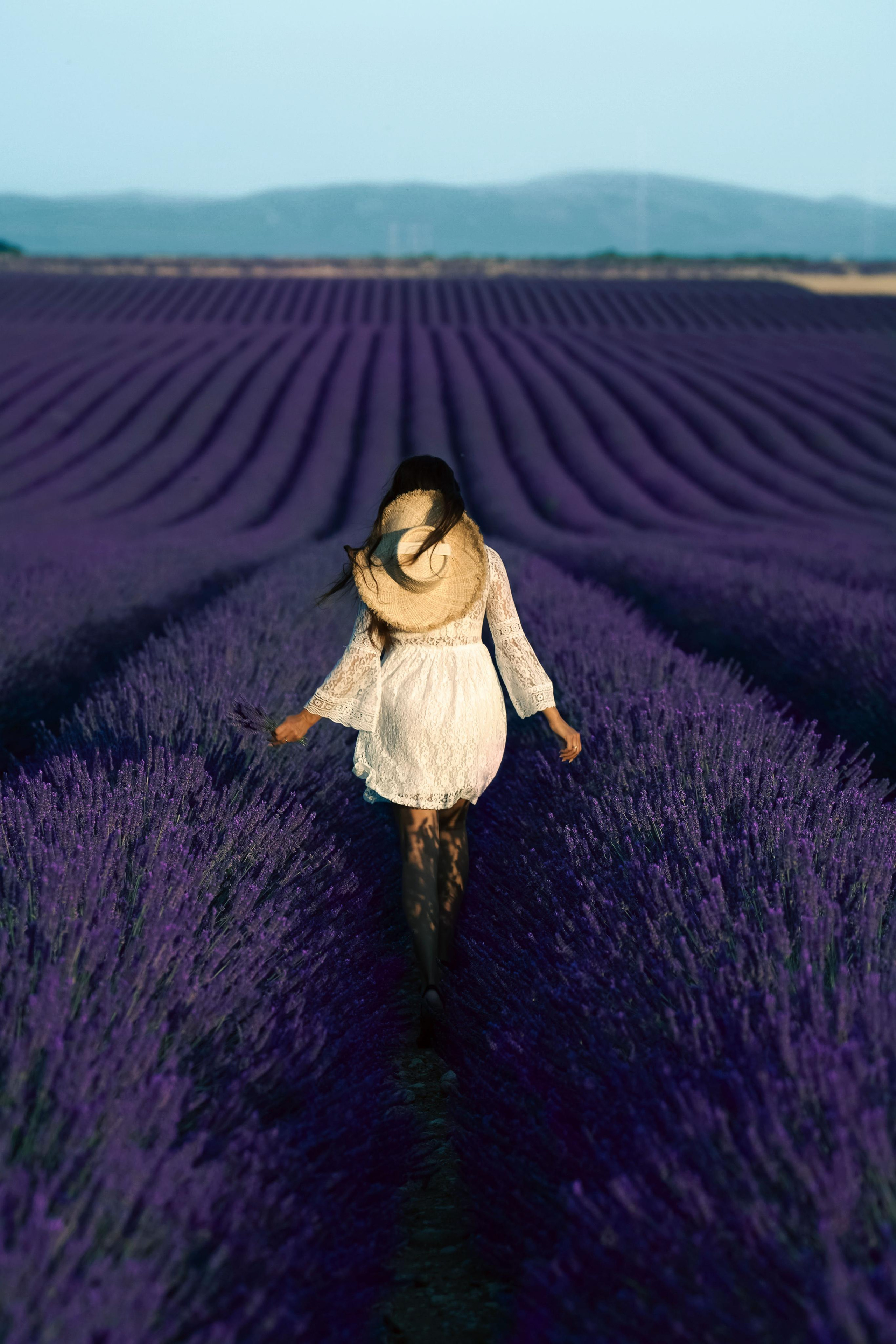 « закат в Провансе: Анна и Прованс в объективе ». Главная