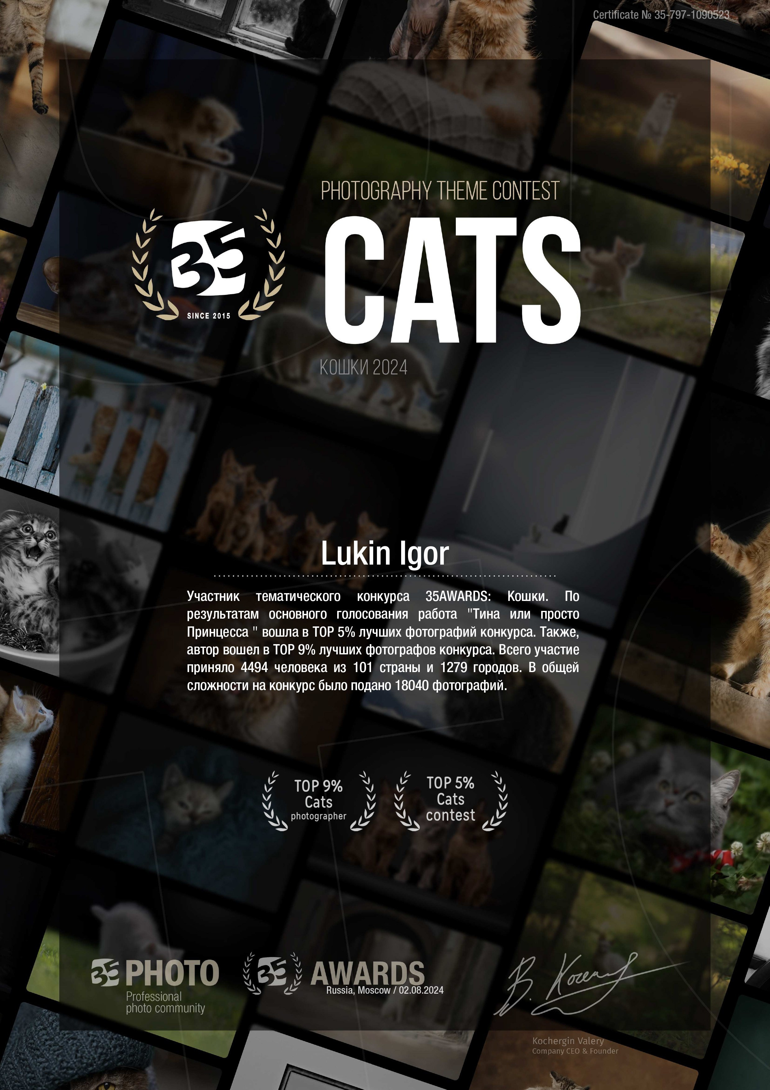 КОШКИ 35AWARDS. LUKIN IGOR Photography