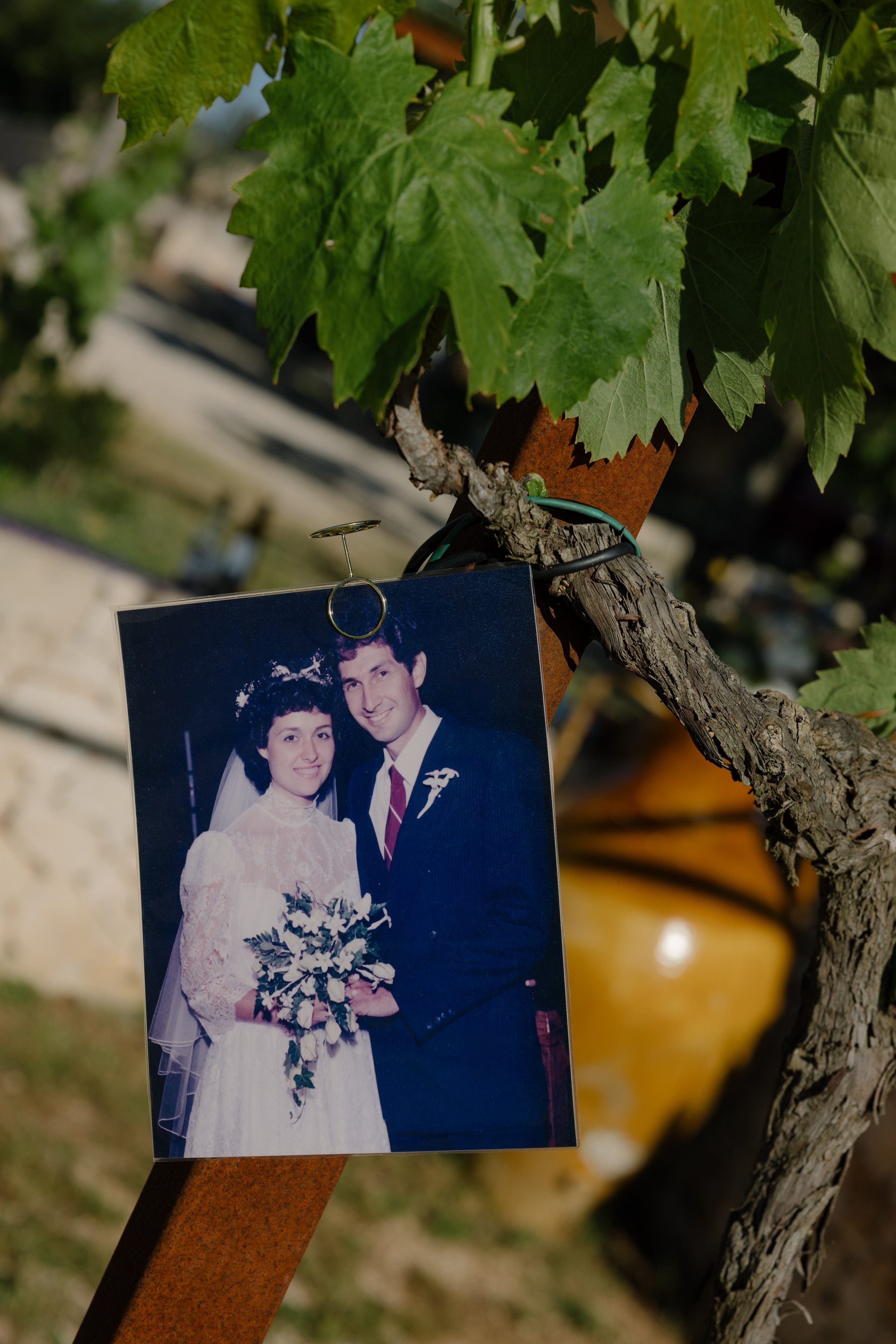 2. Весільний фотограф Вікторія Саврук