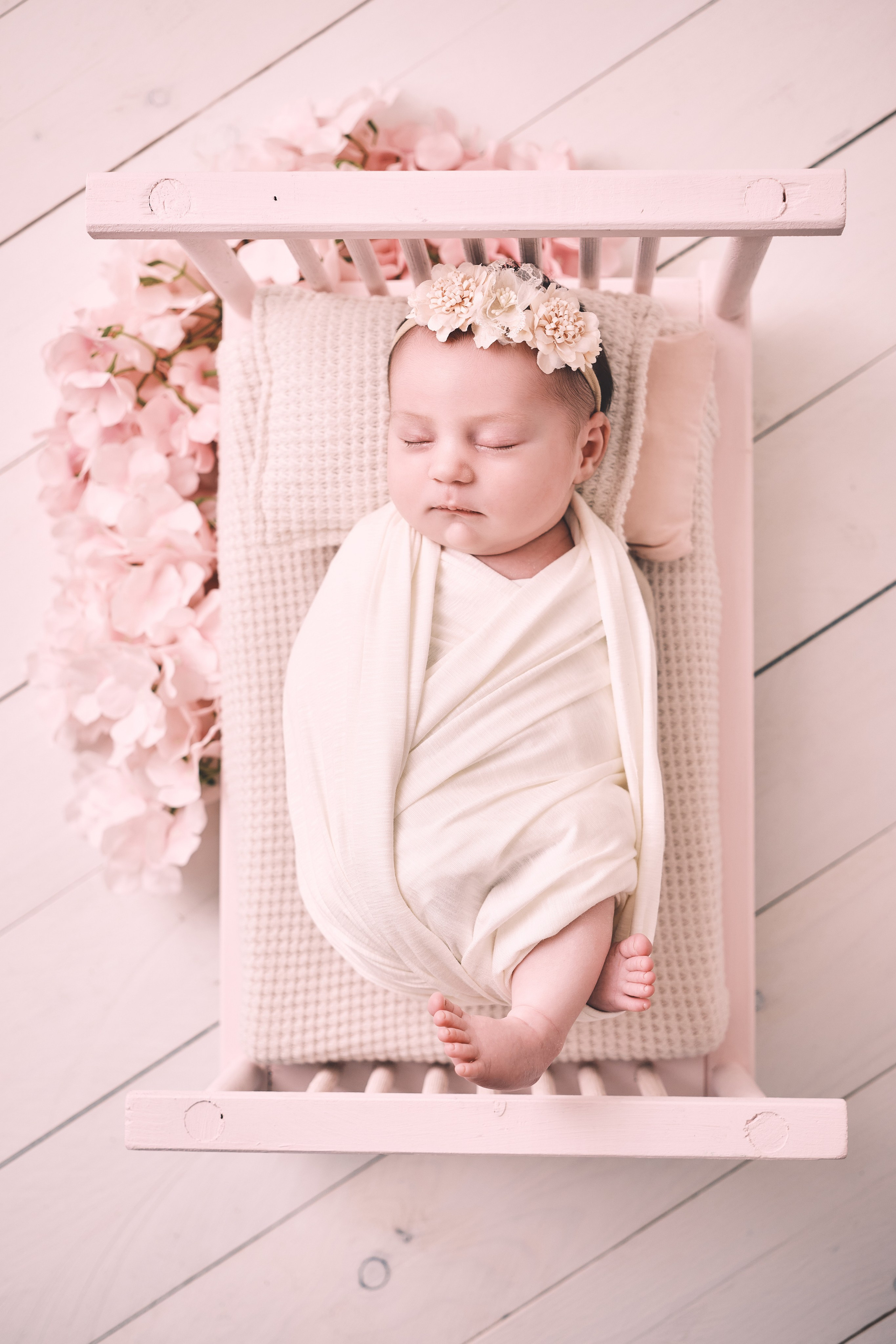 Studio photography. Anghel’sPhoto